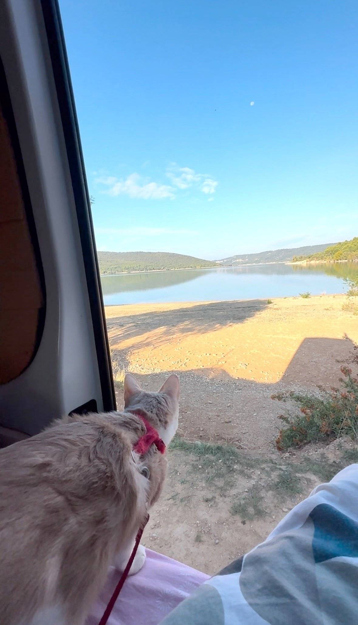 Renault Trafic L2H1 2 l 140 ch