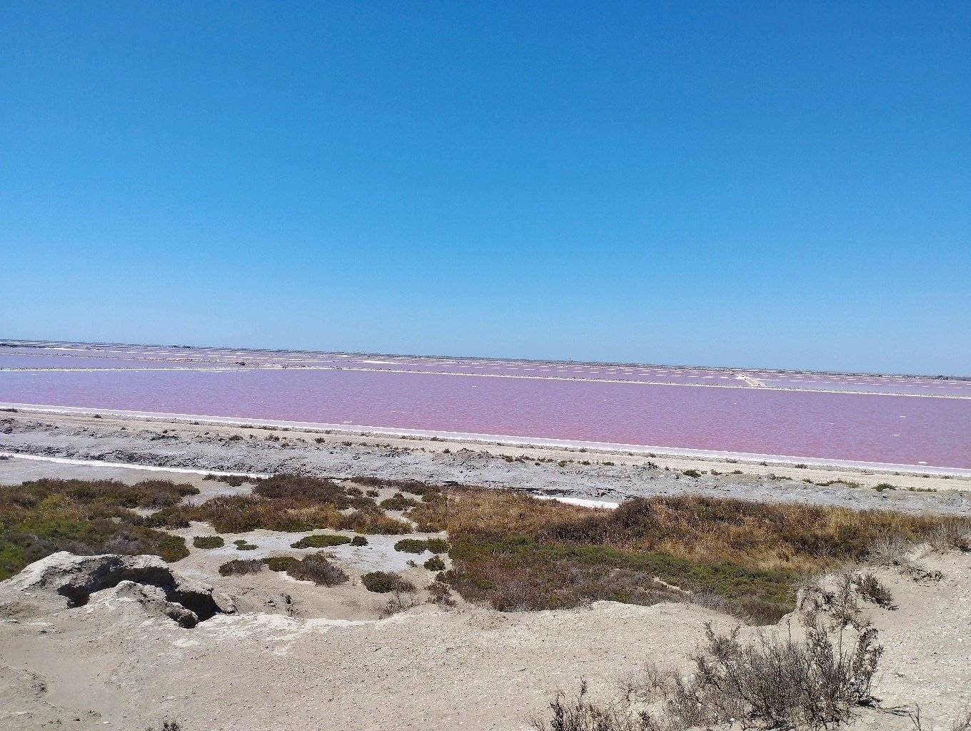 Font Vendôme font vendôme