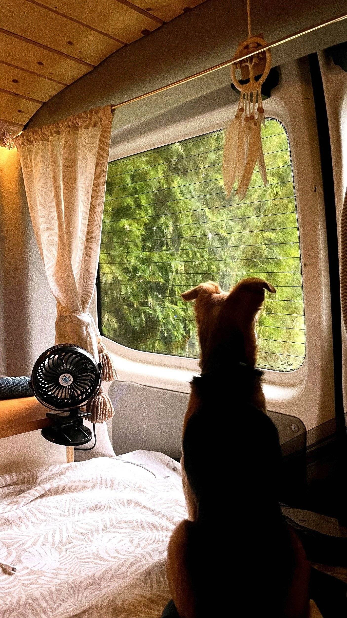 Volkswagen Volkswagen transporter T5