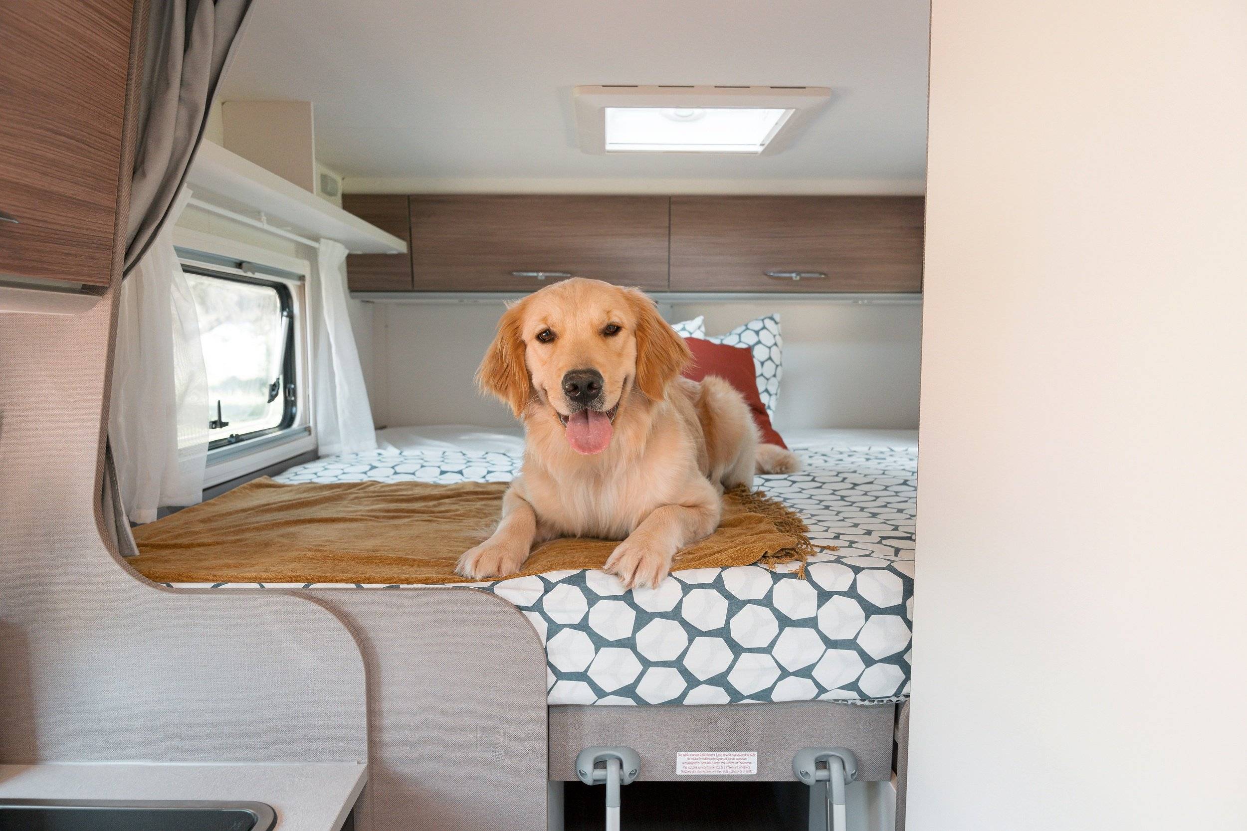 Schlafplätze Eu Comfort Compact 2 Auto Select Eu Comfort Compact 2 Auto Select - Yescapa
