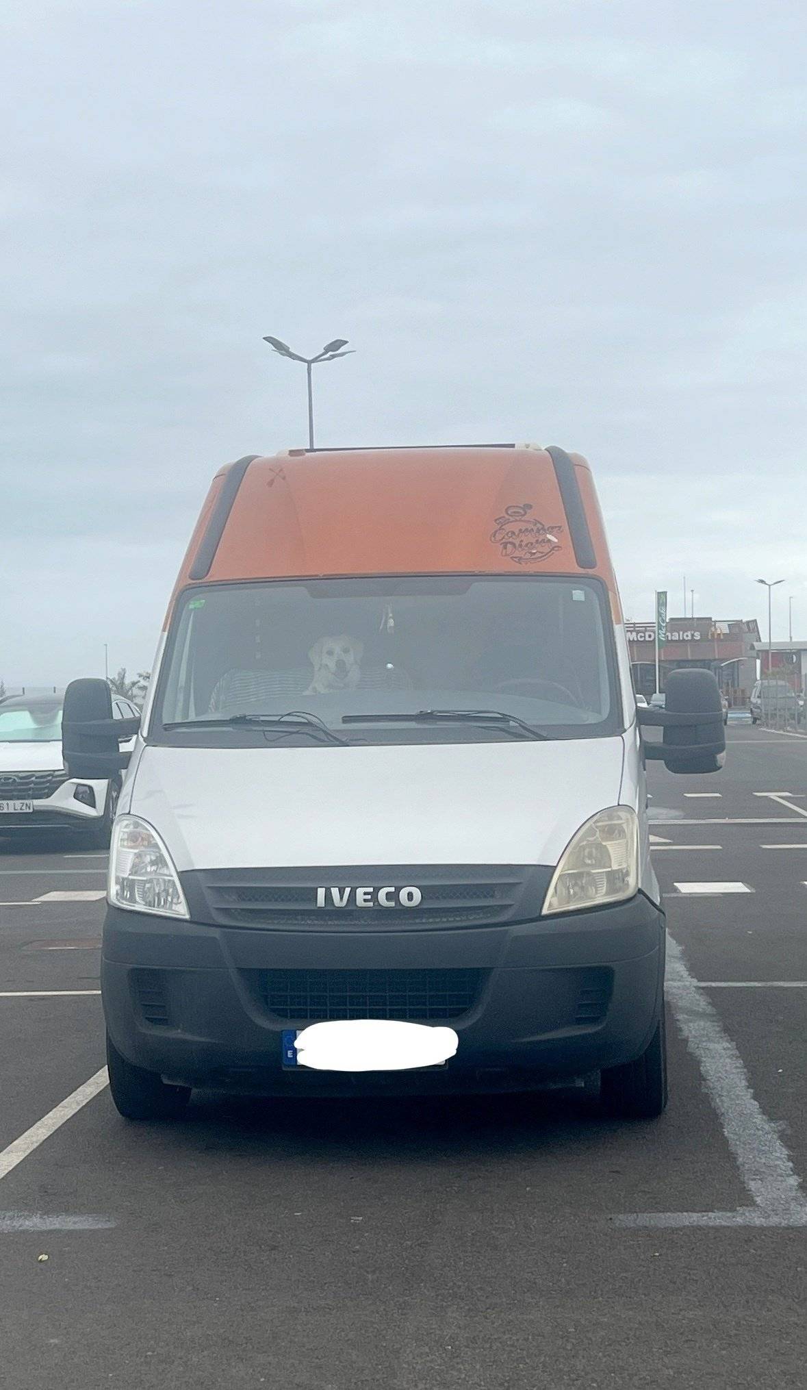 iveco 