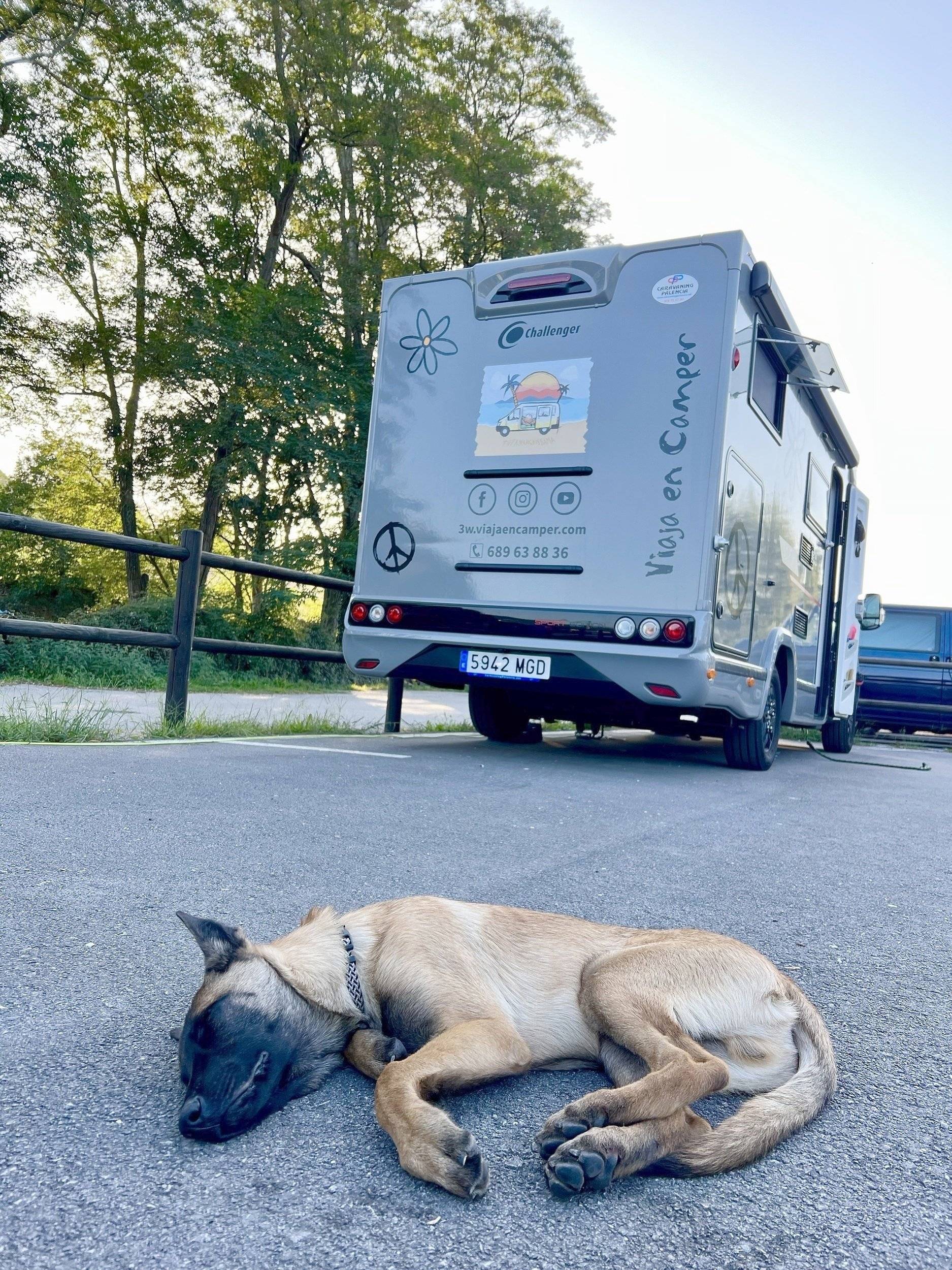 Challenger S217 Sport Edition