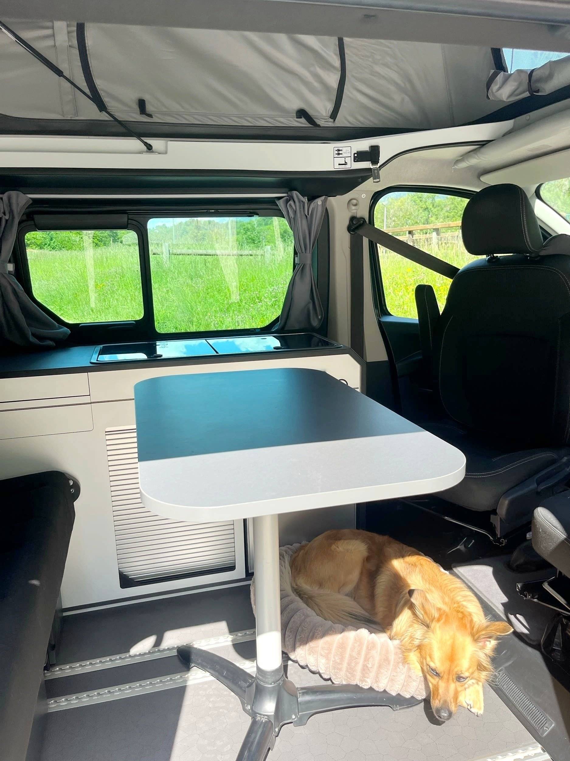 Schlafplätze Renault Trafic 2,5 l 150 ch - Yescapa