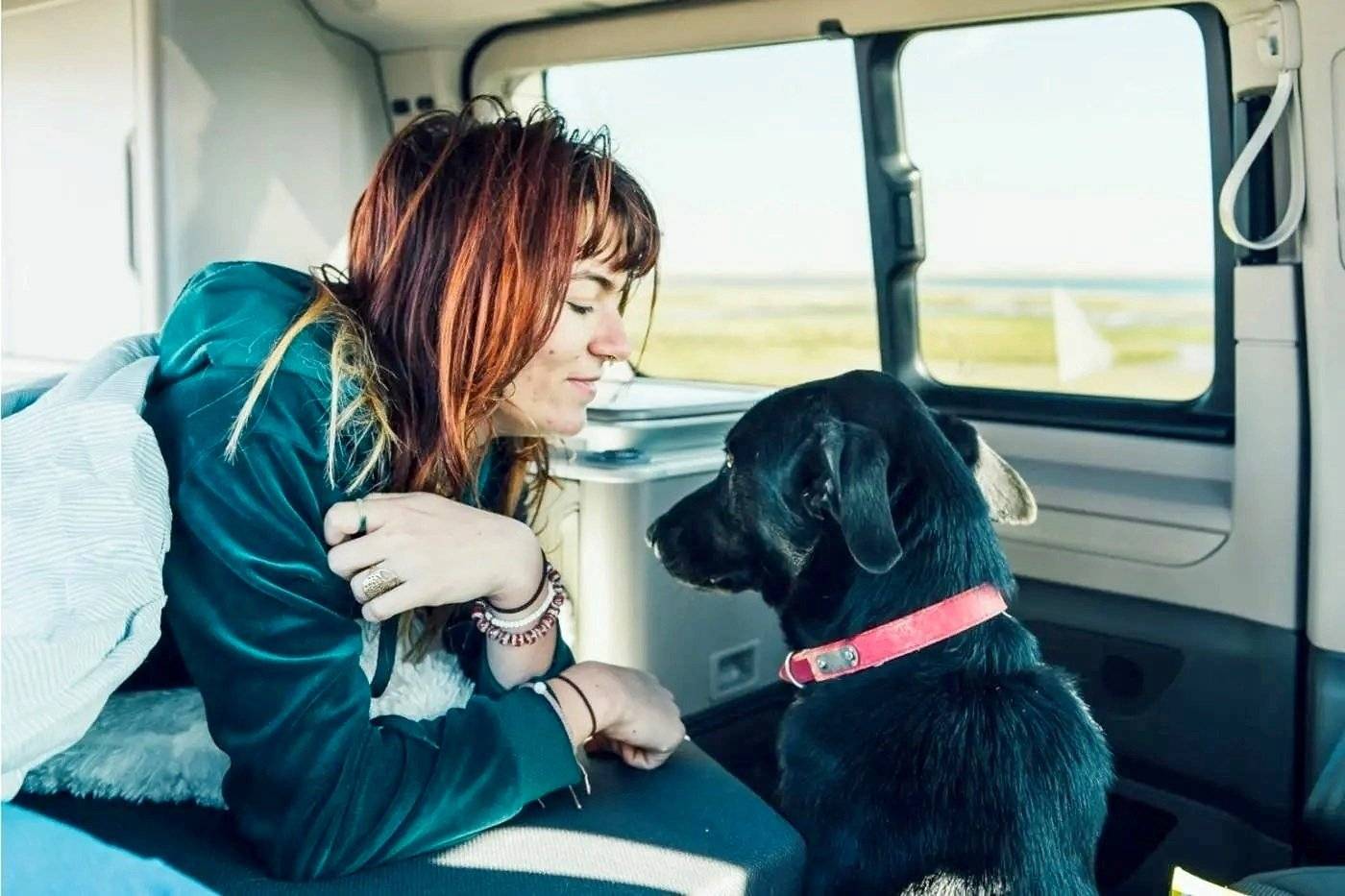 Volkswagen T7 California Ocean