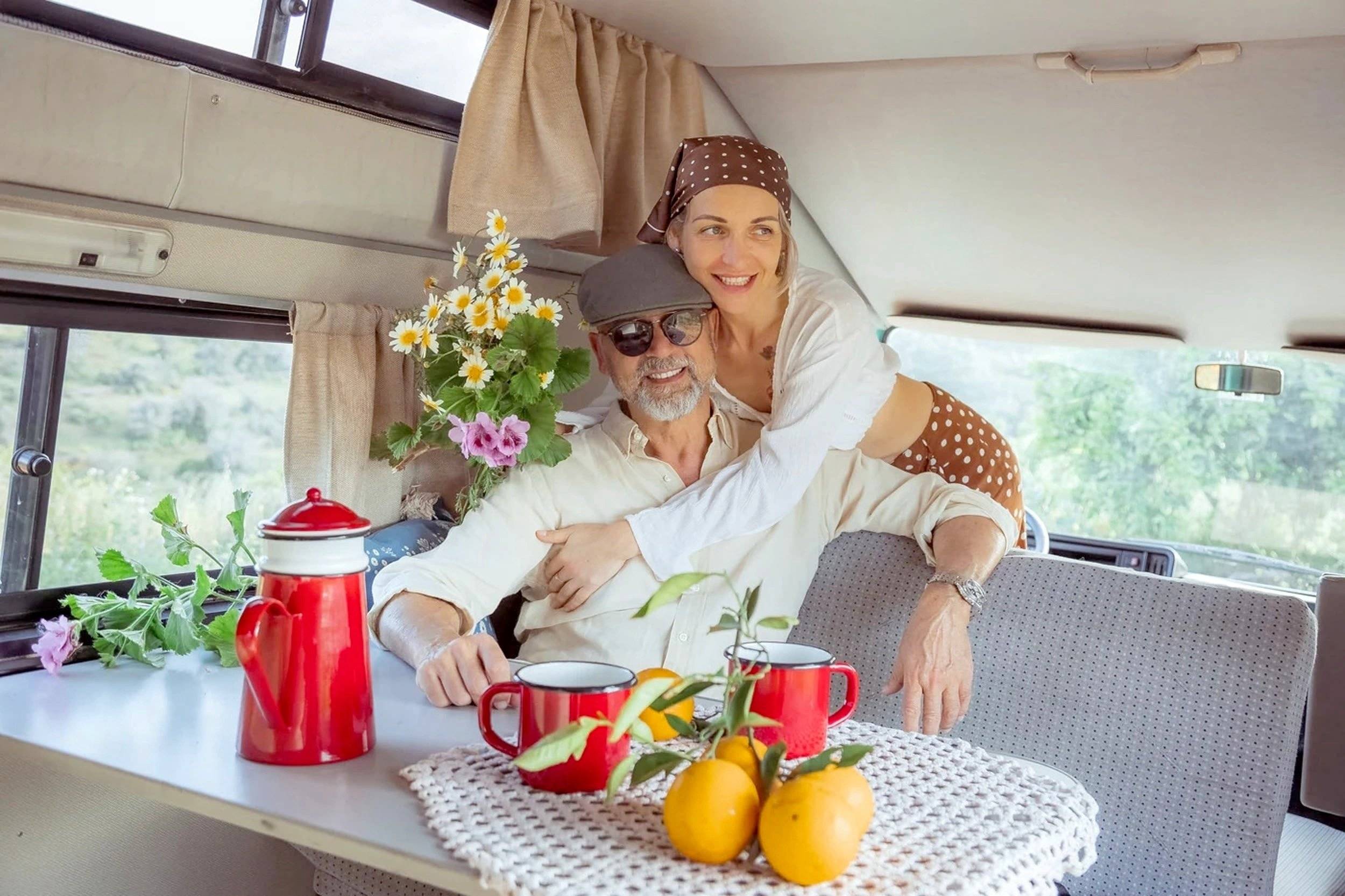 Westfalia LT31