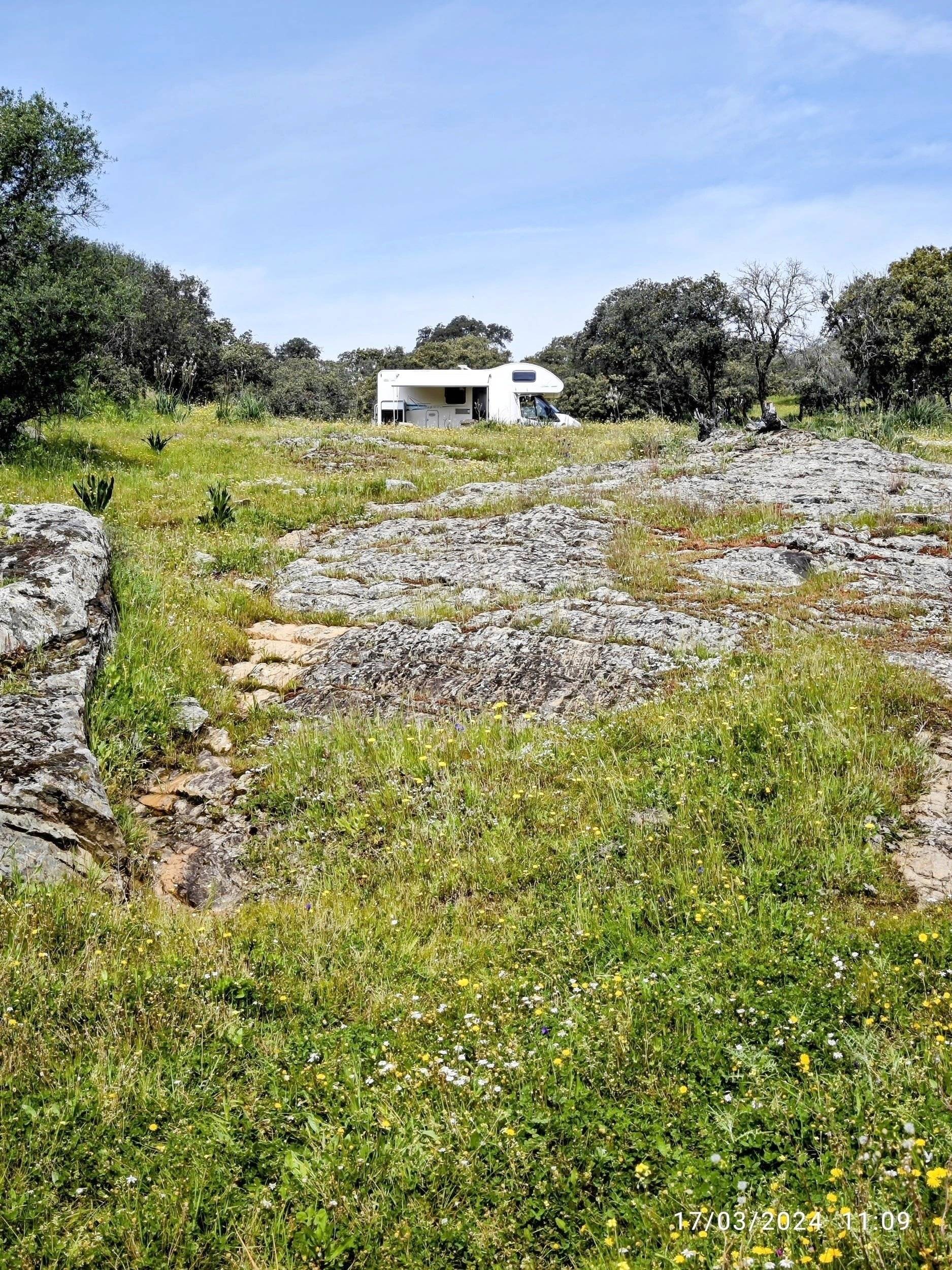 Rimor FORD TRANSIT 140CV