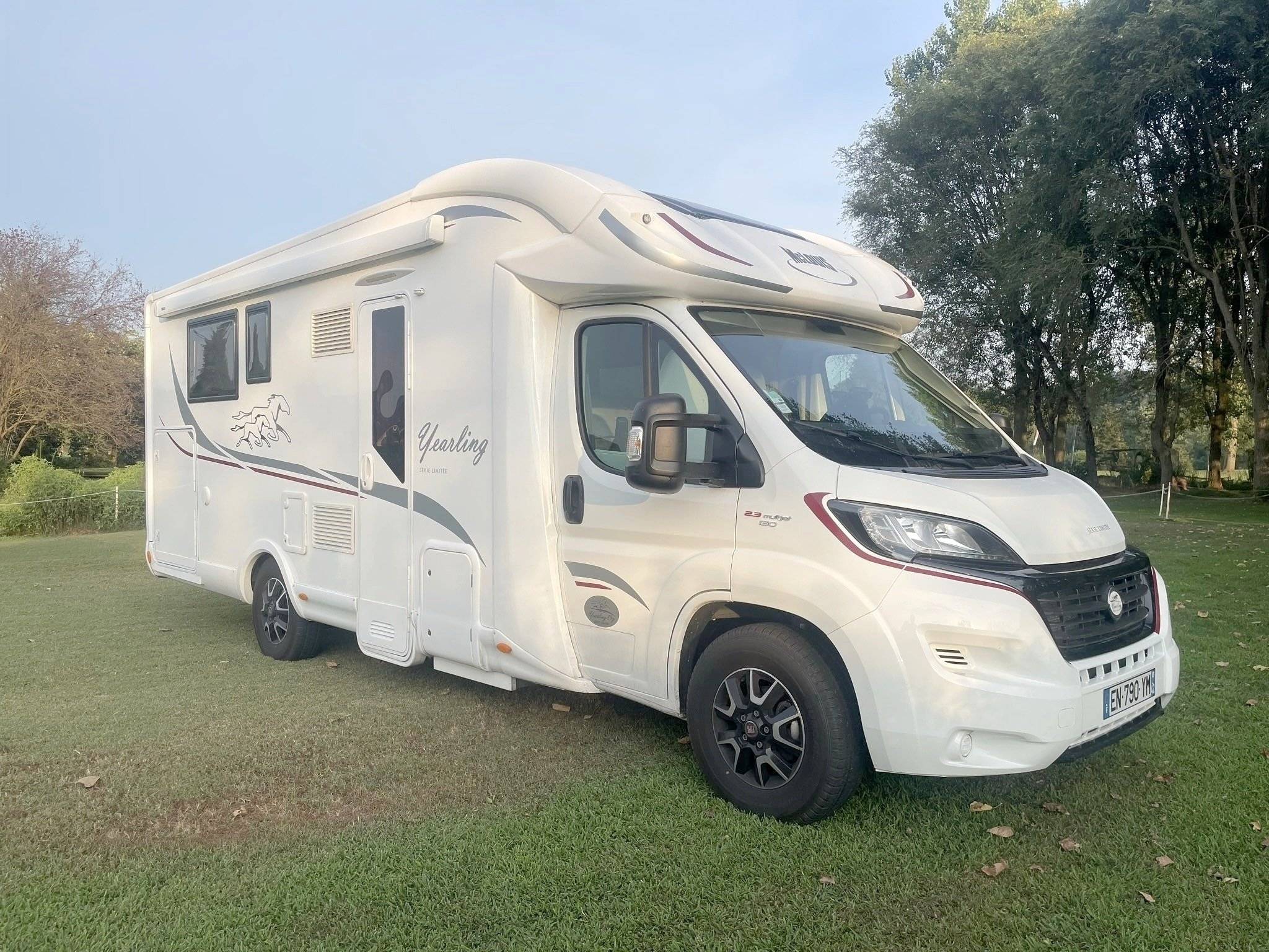 Mclouis yearling 89 G