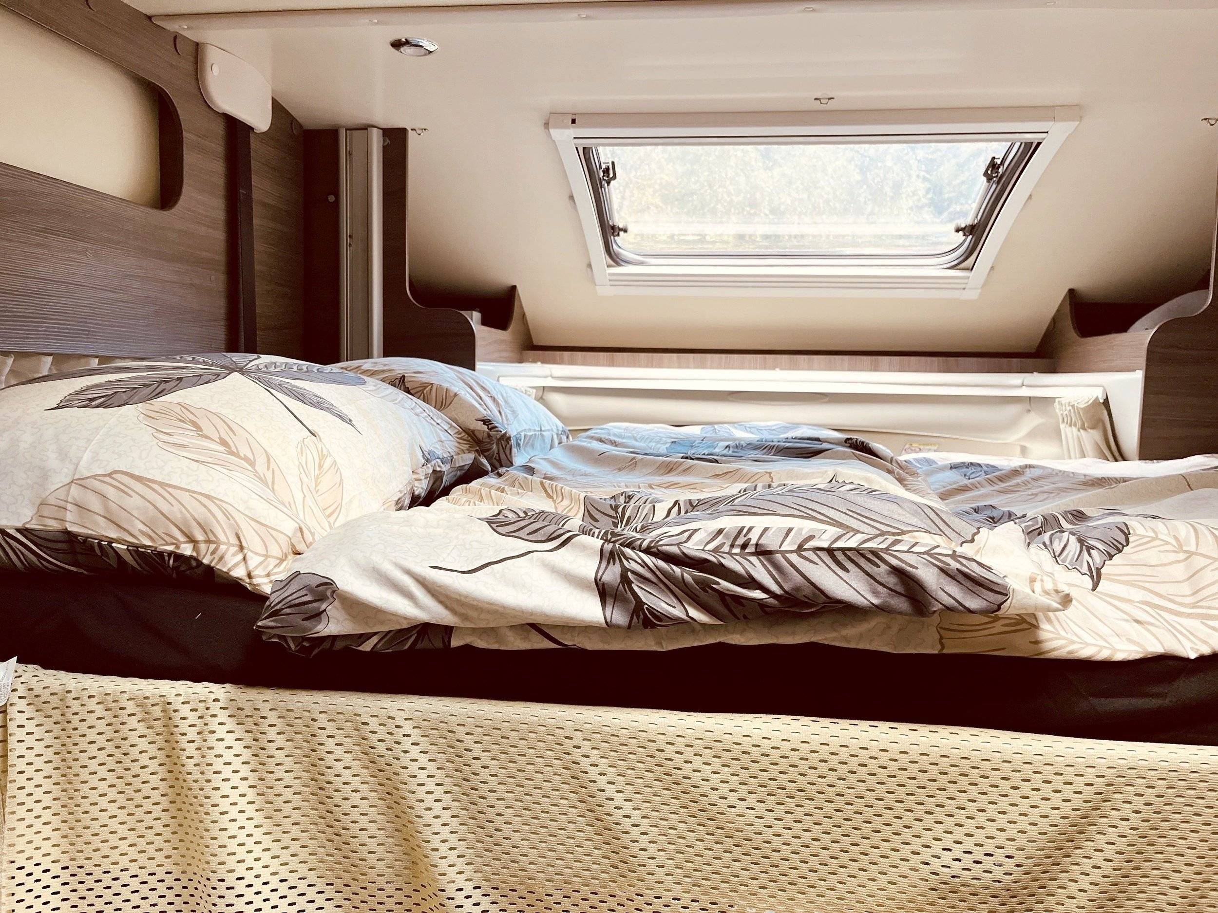 Mclouis Yearling 89G série limitée