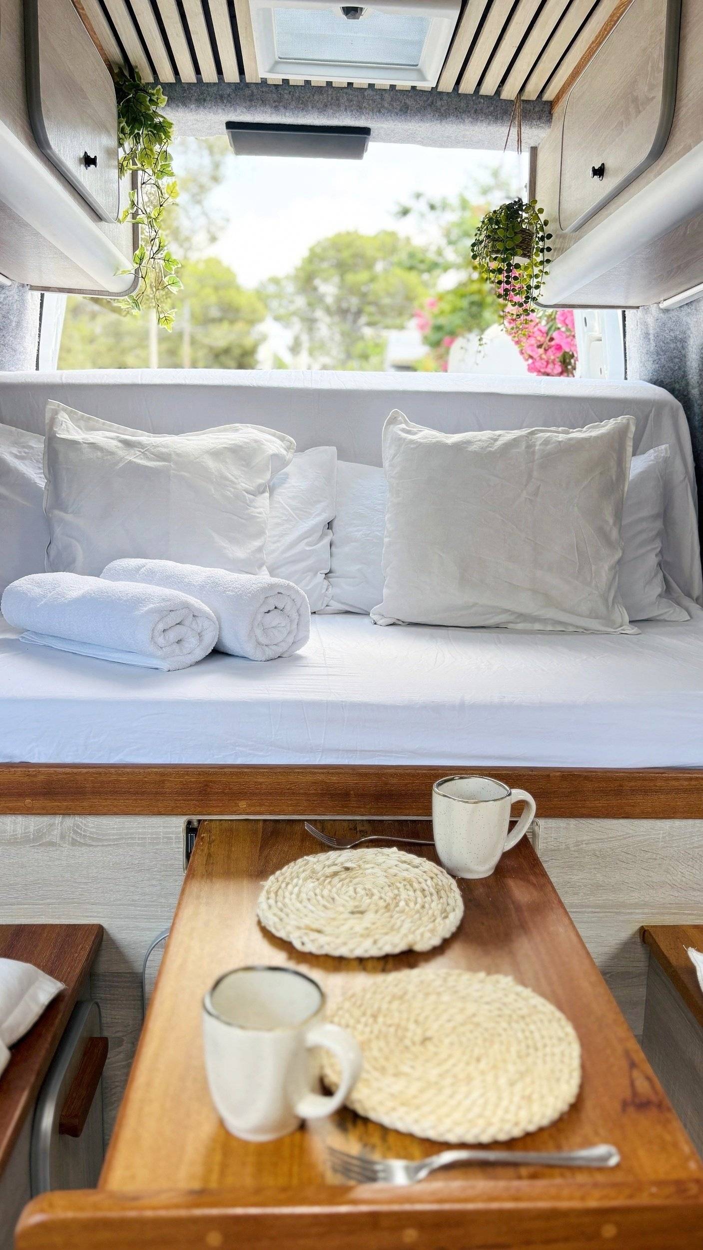 Custo Van Ford Transit