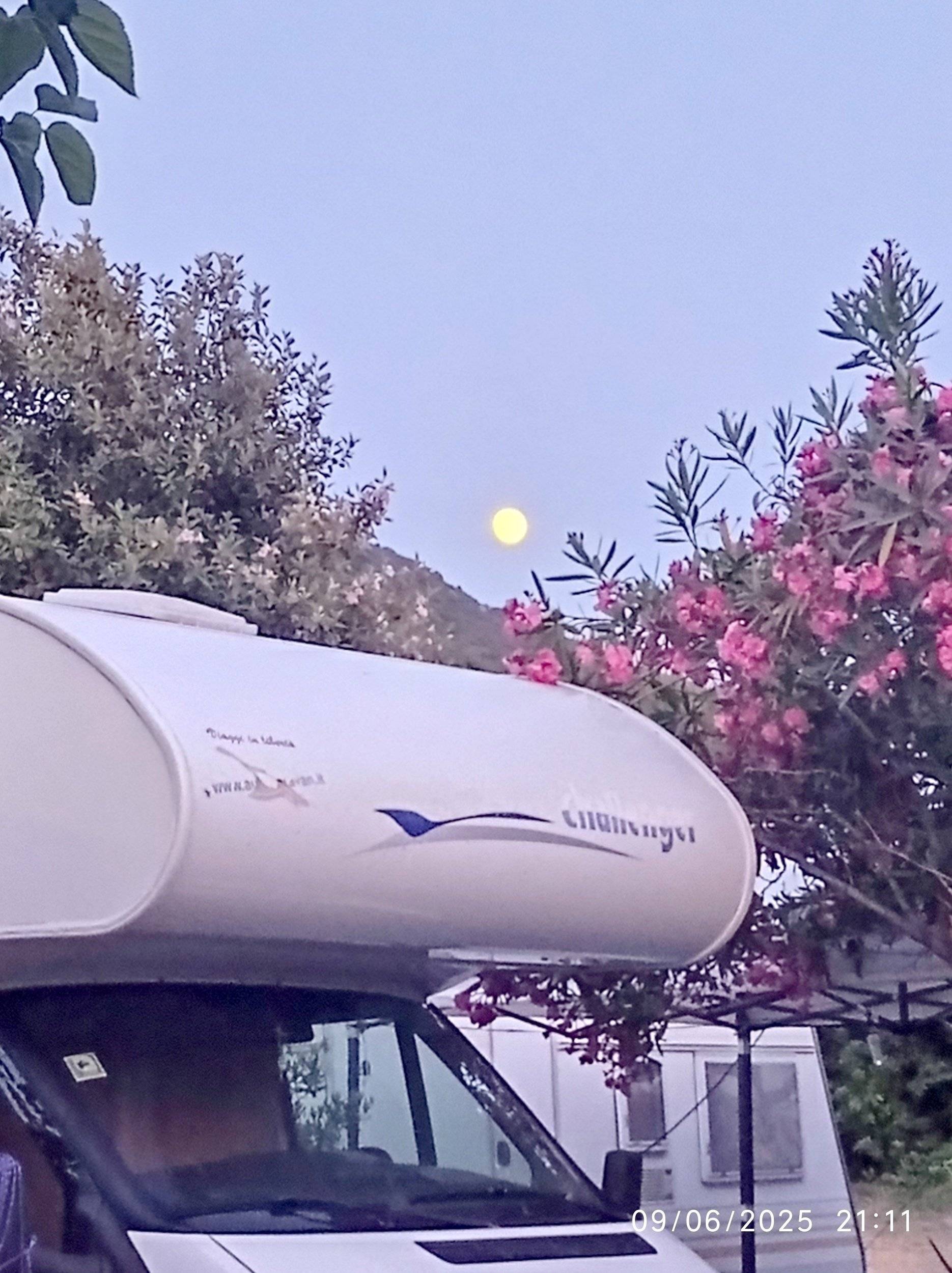 Genesis 33 FORD TRANSIT