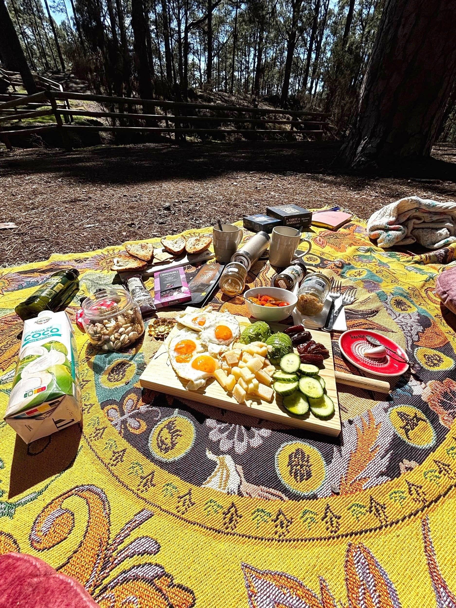 ford ford transit dinamic