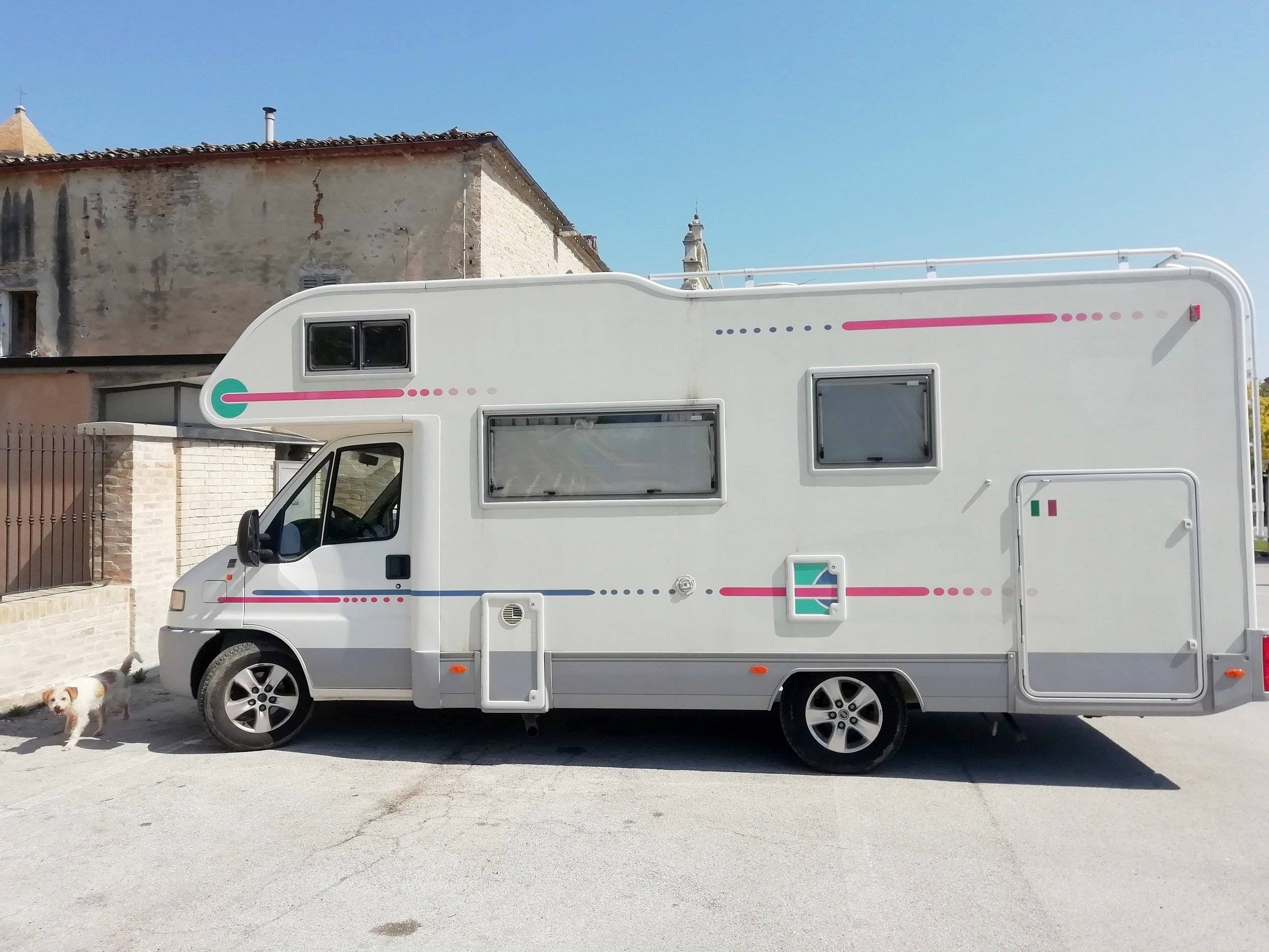 Adria Adria coral   sp660