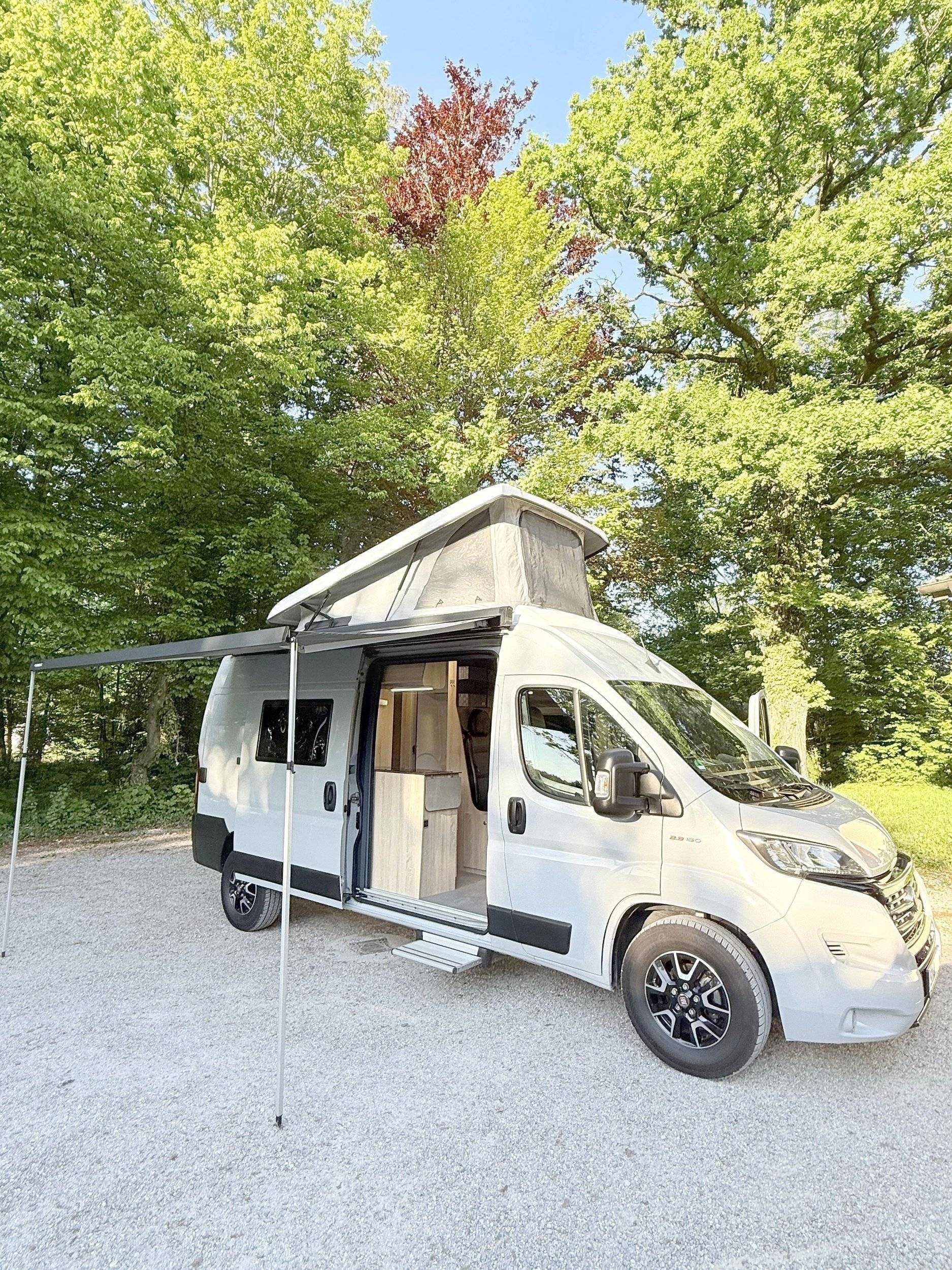 Clever Celebration 600