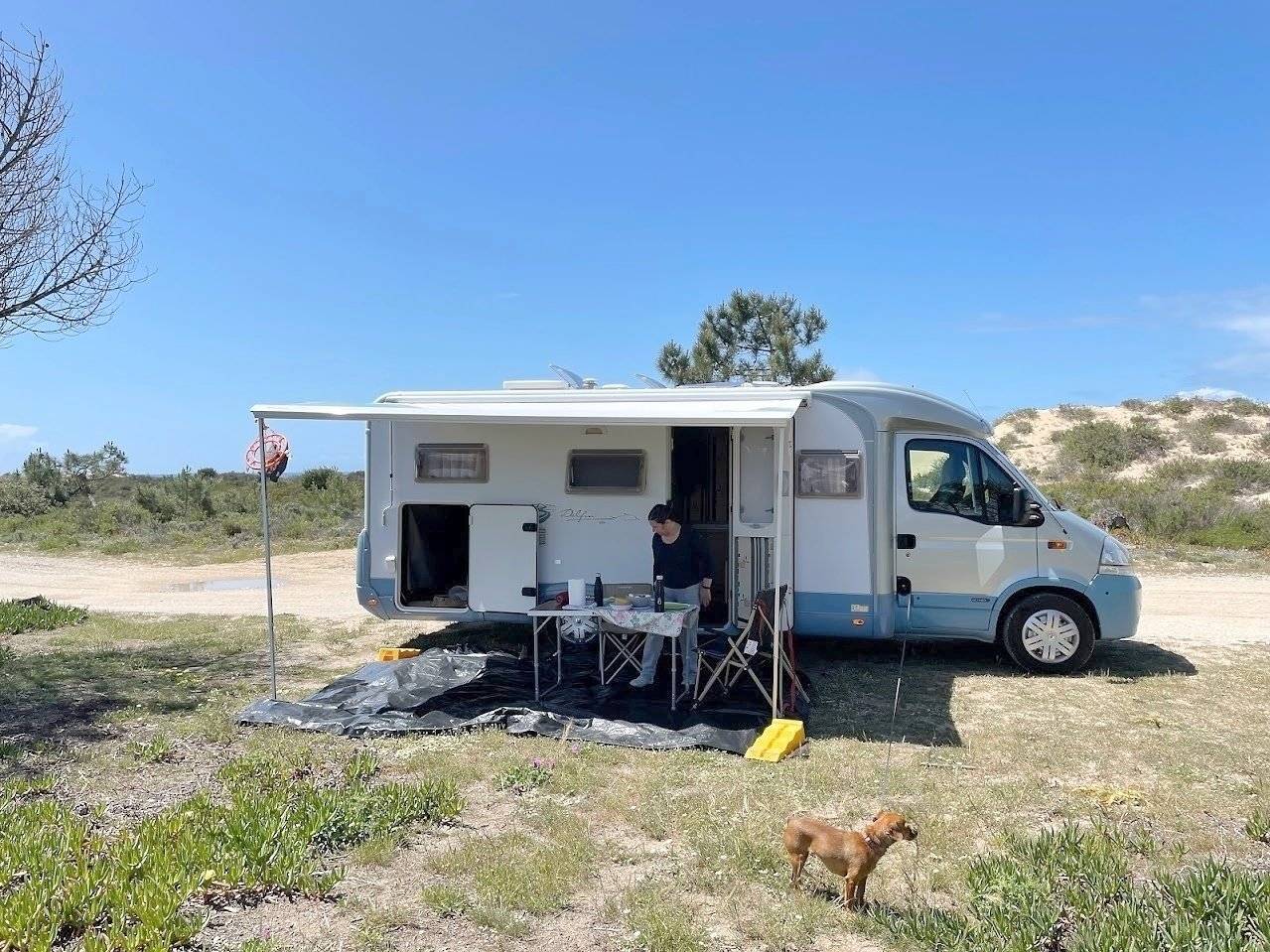 Bürstner Renault master