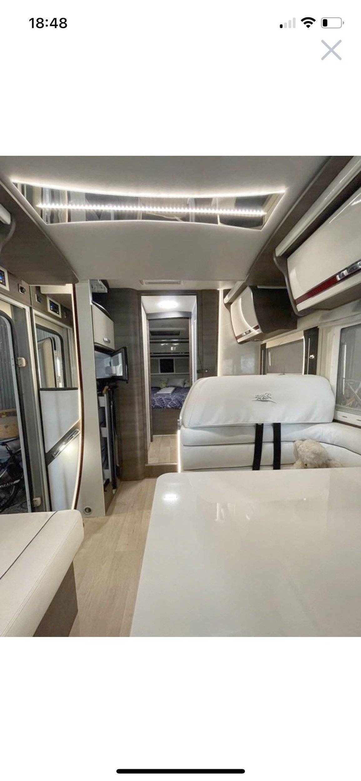 Mclouis yearling 89 G