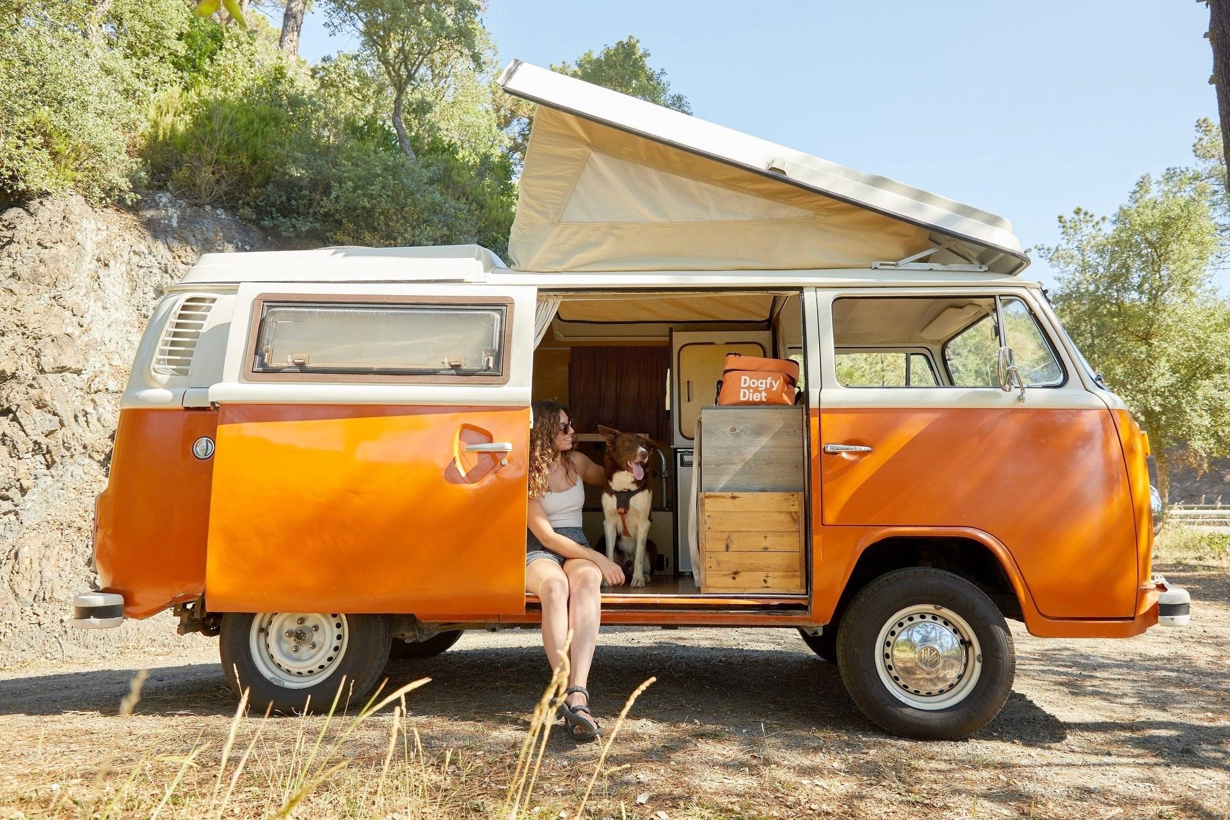 Volkswagen Kombi T2 Westfalia