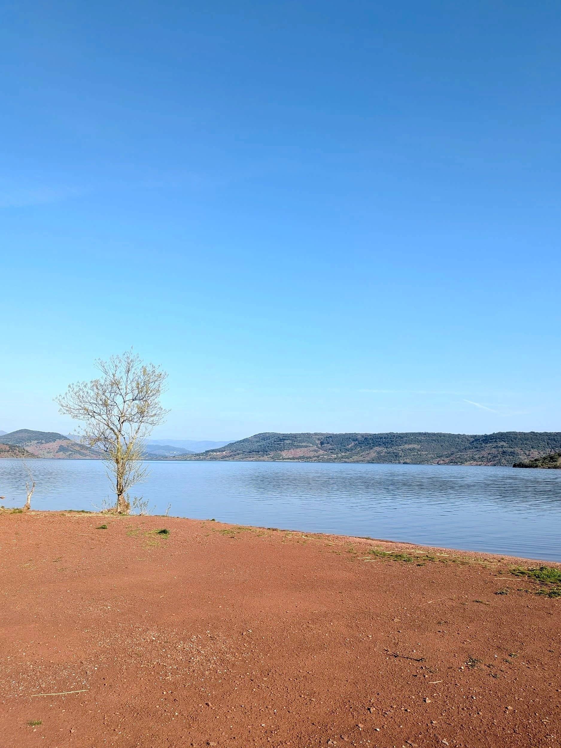 Custo Van Transporter