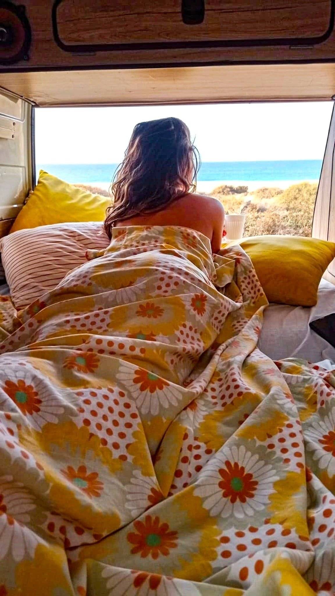 Volkswagen T3 westfalia