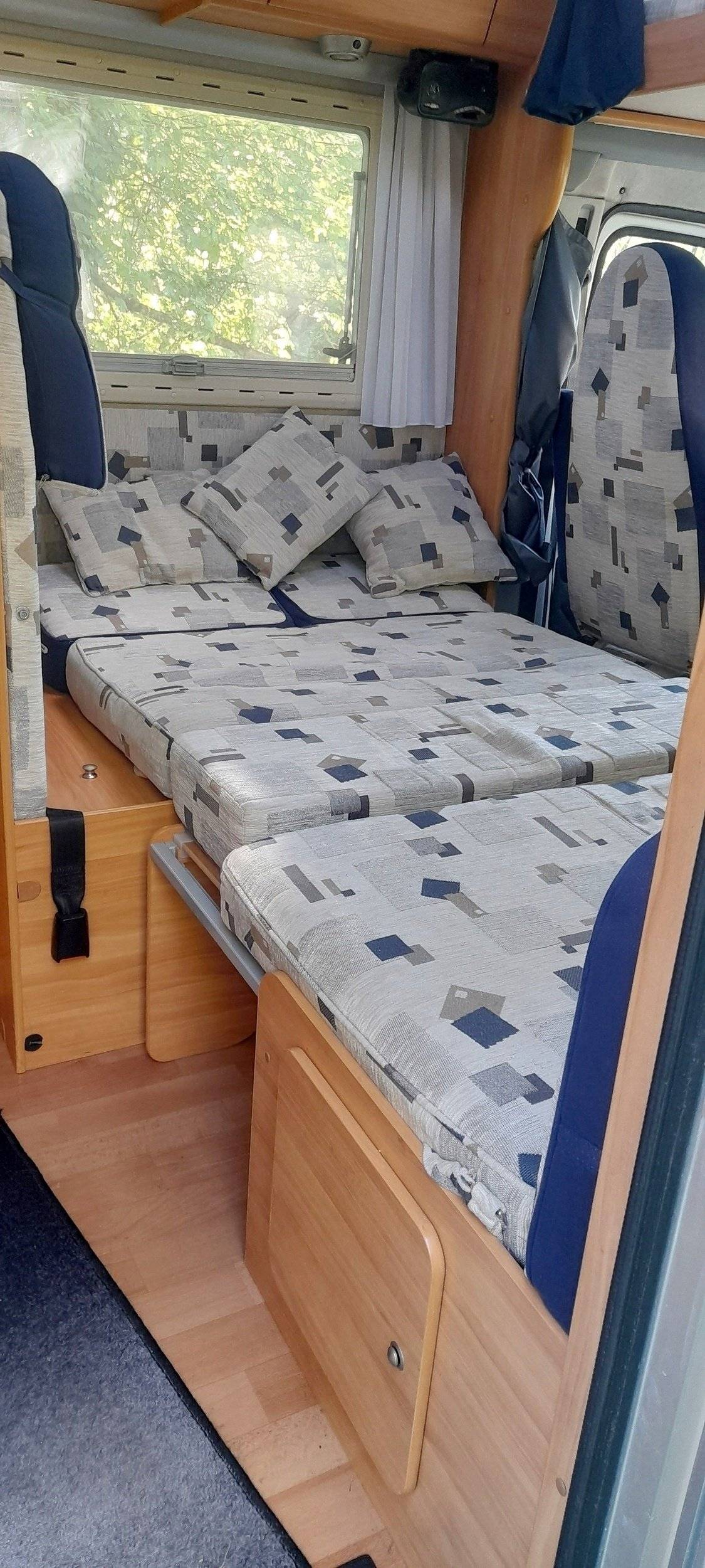 adria Adria coral   sp660