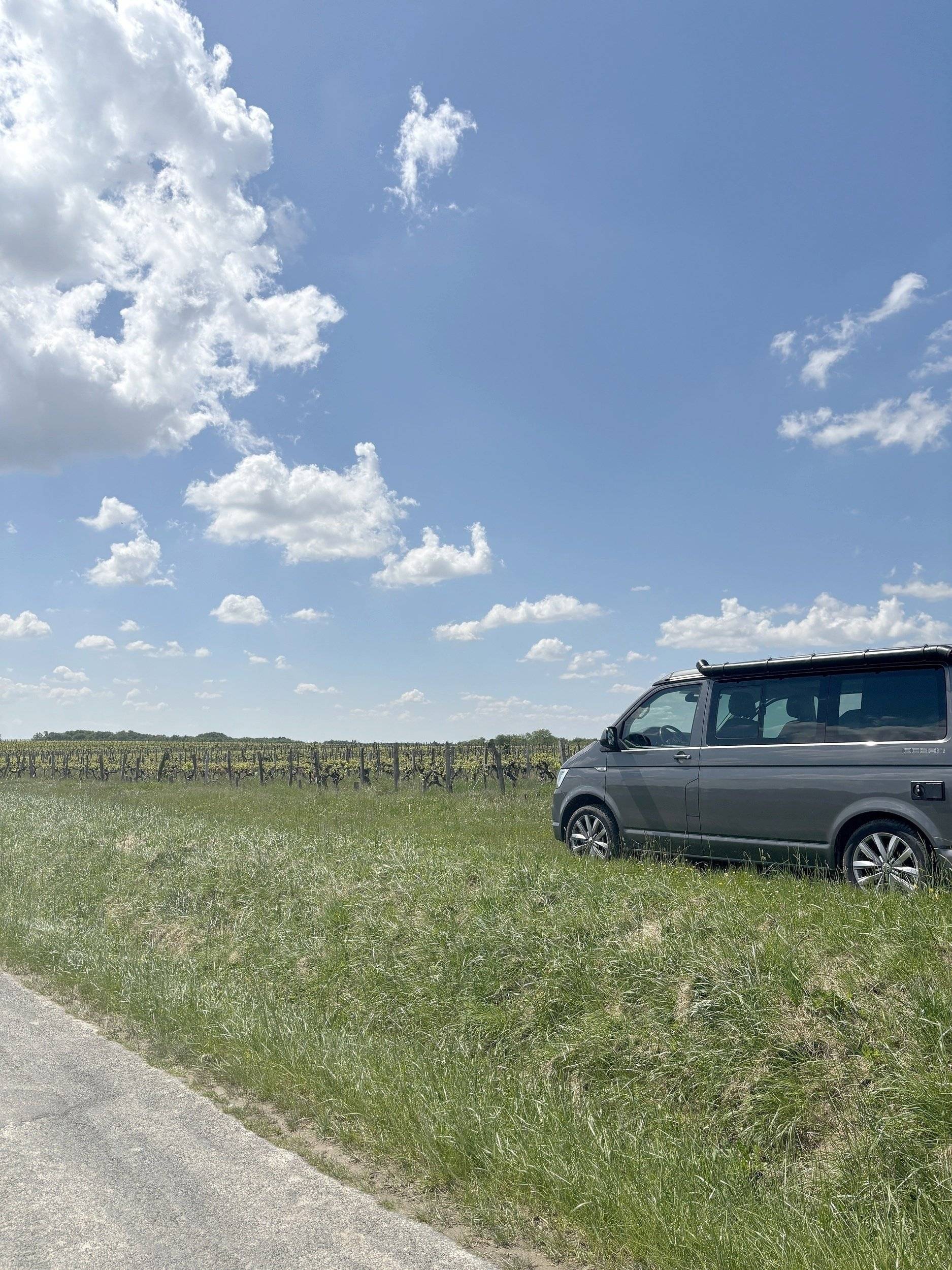 Volkswagen T6 2,0 l 204 ch 4 Motion