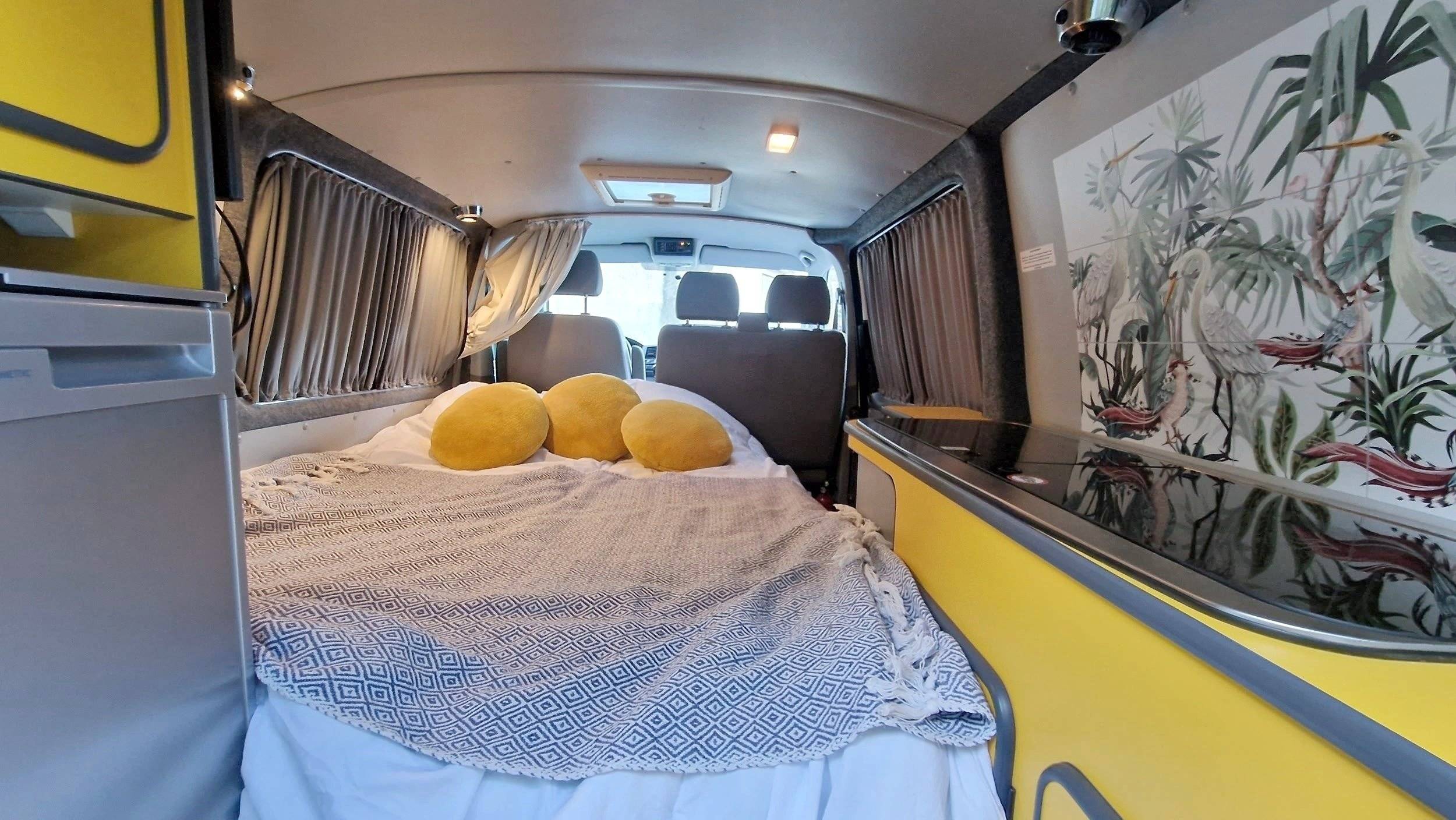 Alpes Camping-Car Volkswagen T5 transporter