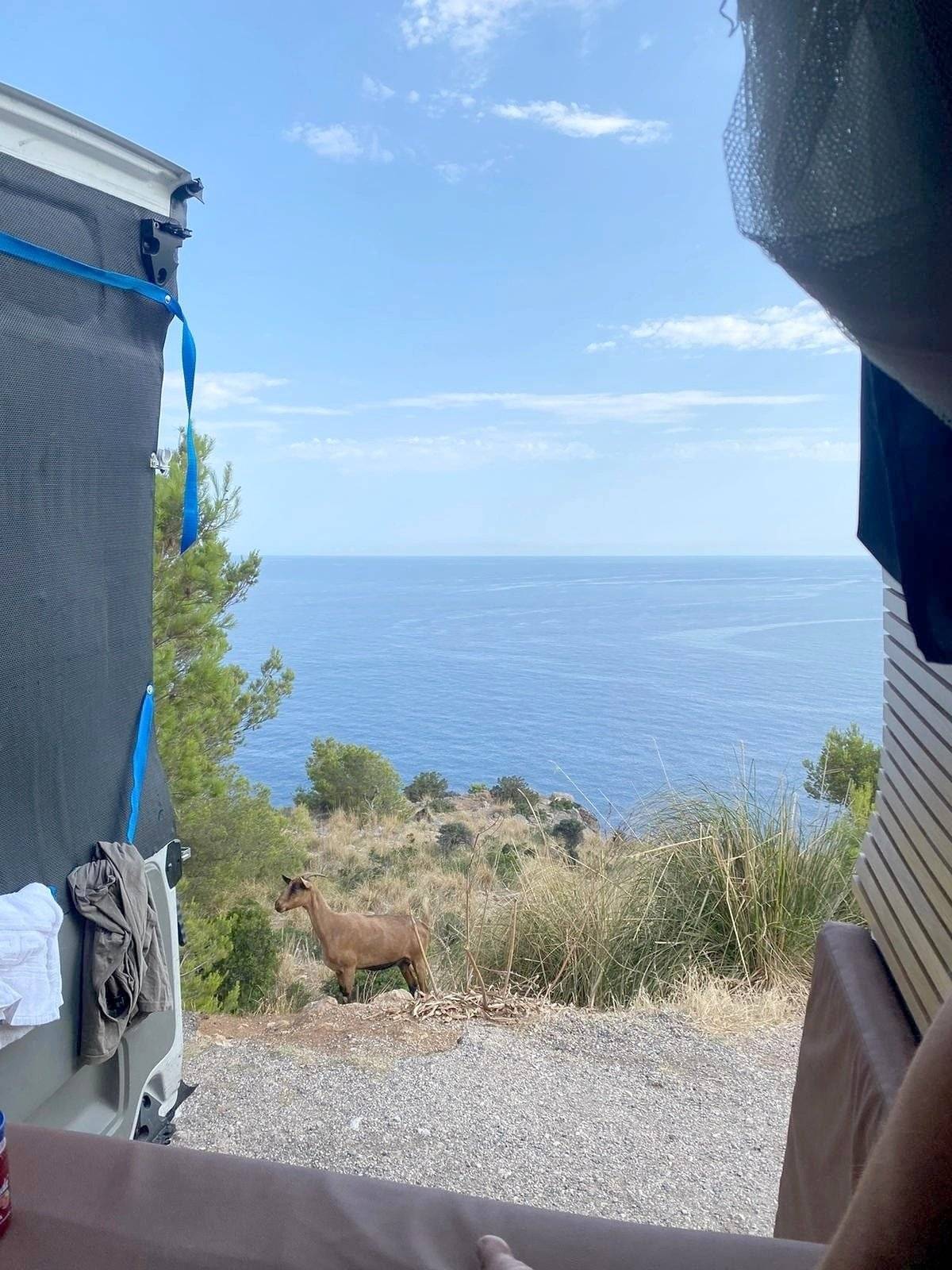 Renault Trafic 2,0 l 90 ch