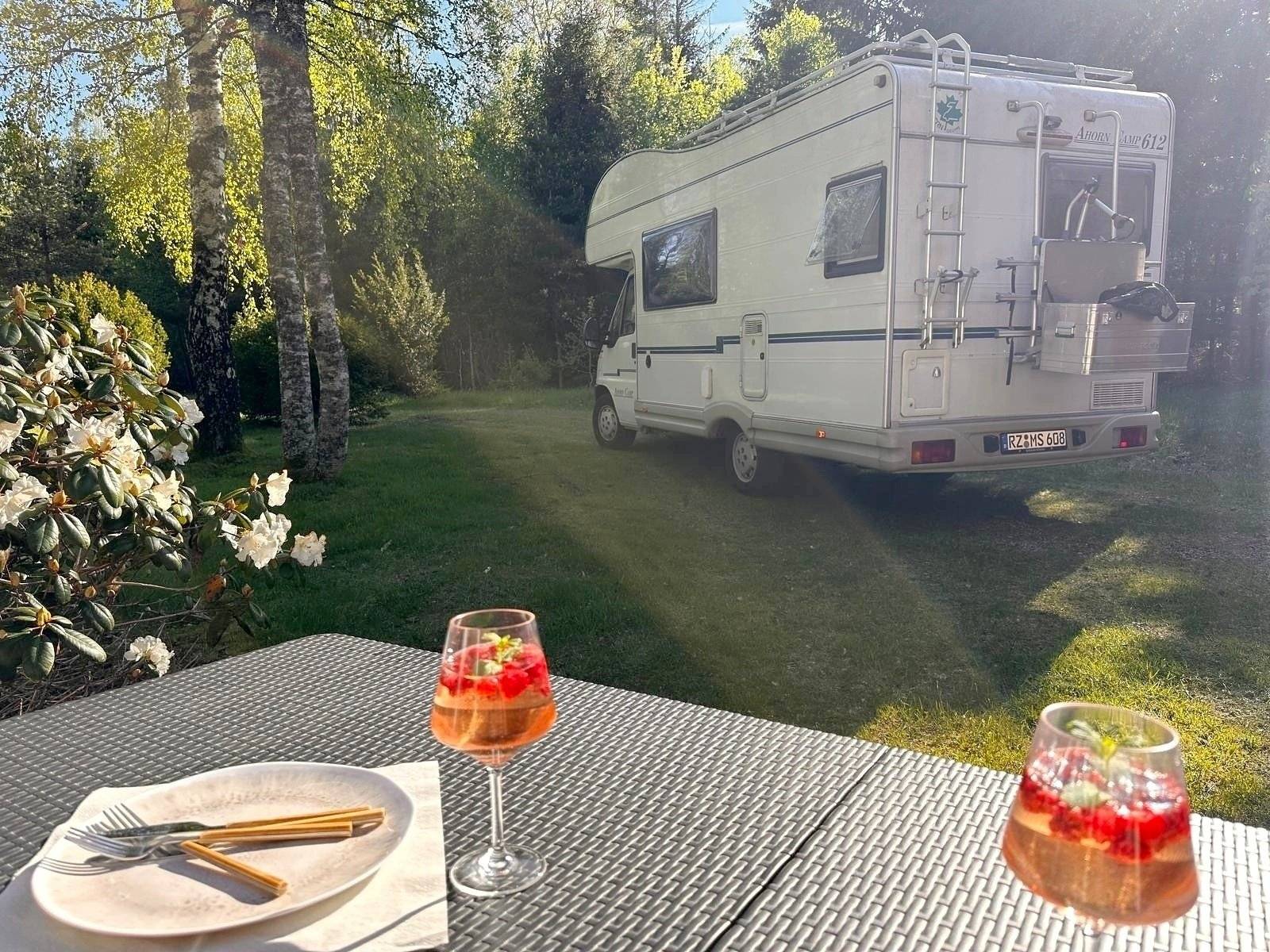 Ahorn Ahorn Camp 595