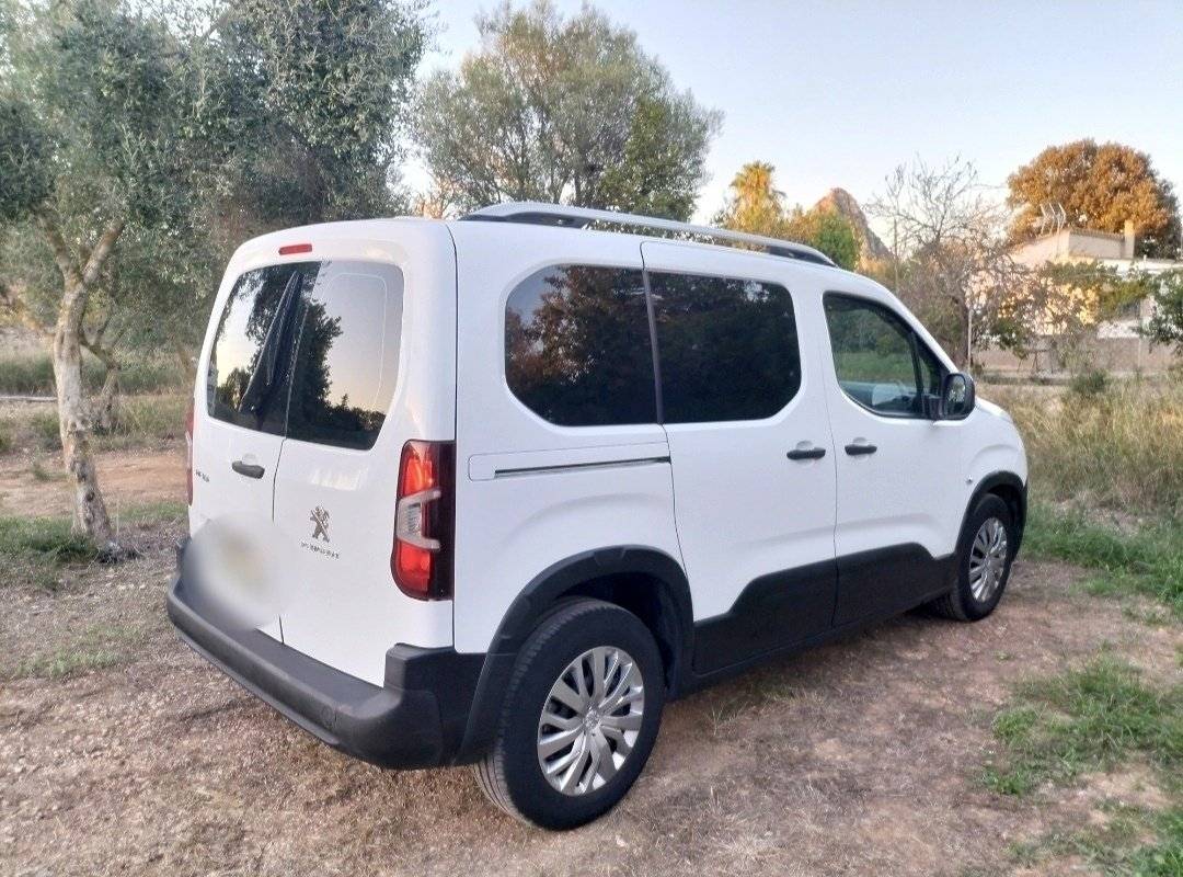 Camper Track Peugeot Rifer