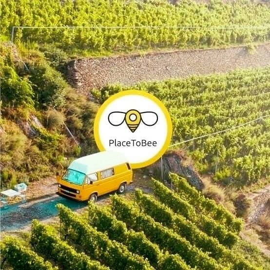 Volkswagen California Ocean