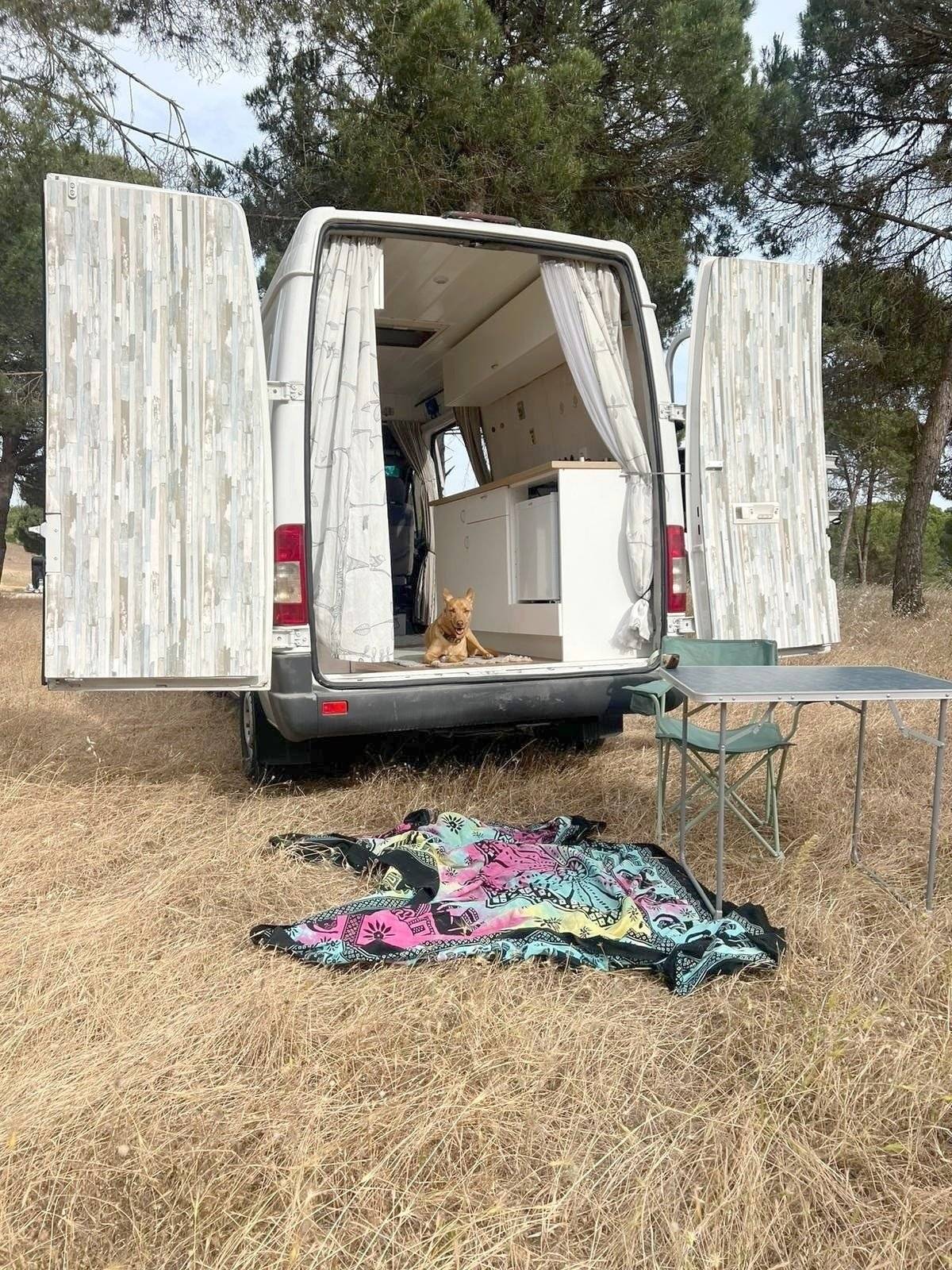 Mercedes Mercedes Sprinter 313 cdi