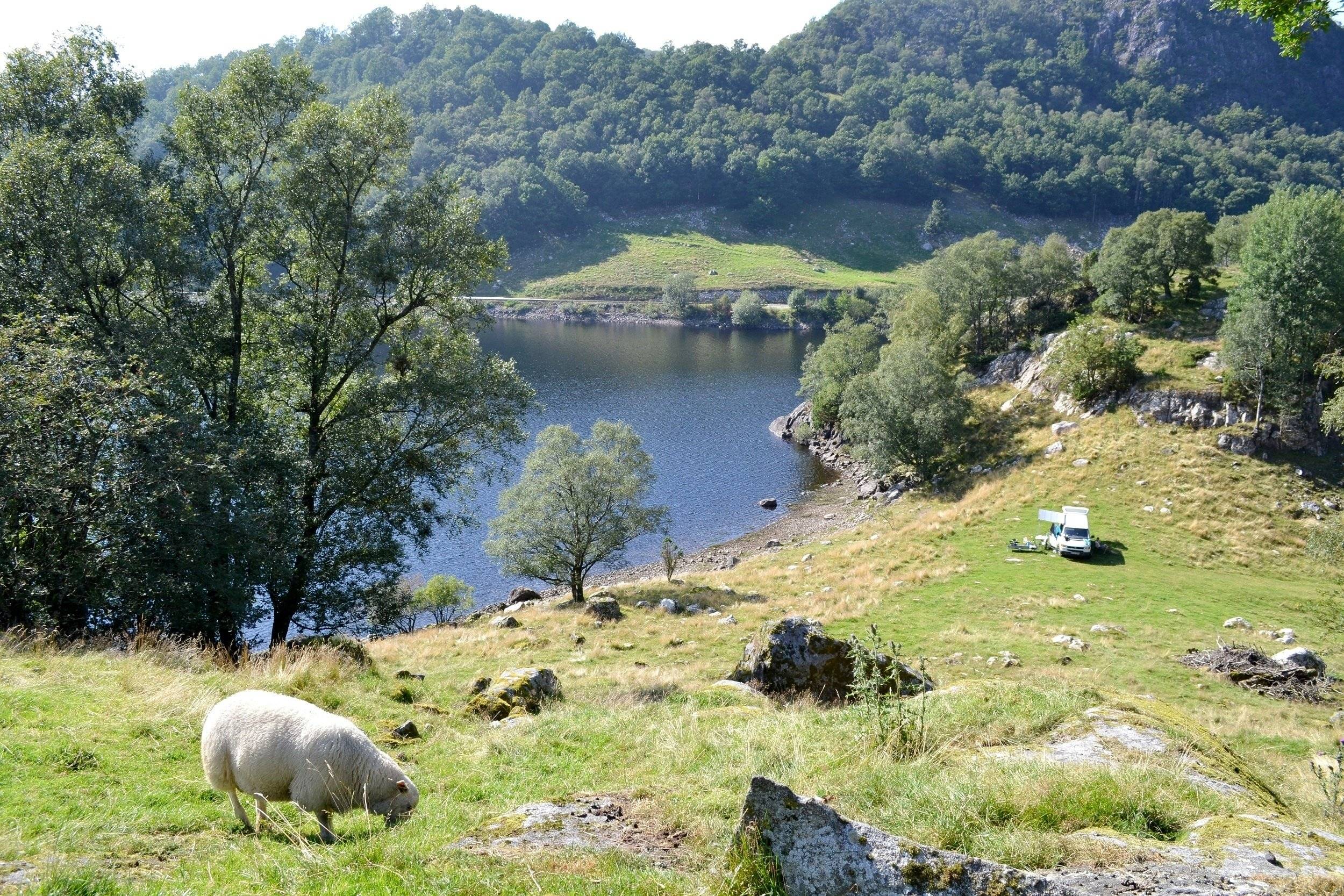 Volkswagen Volkswagen T4