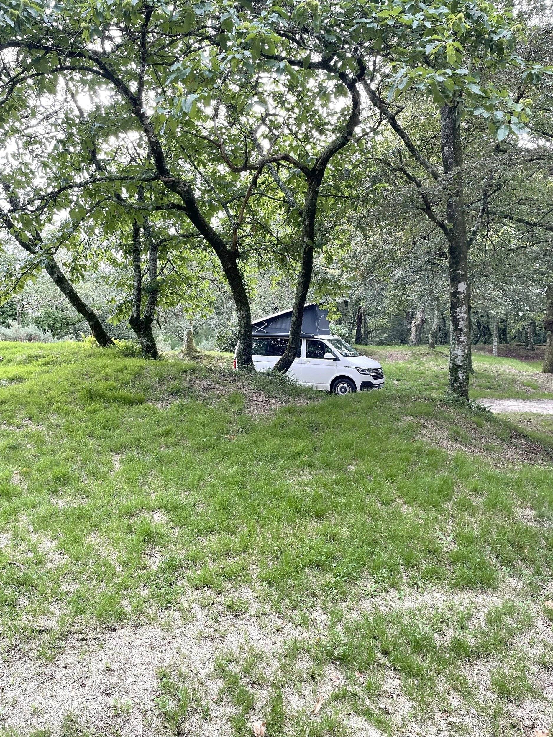 Volkswagen T6.1 California Ocean