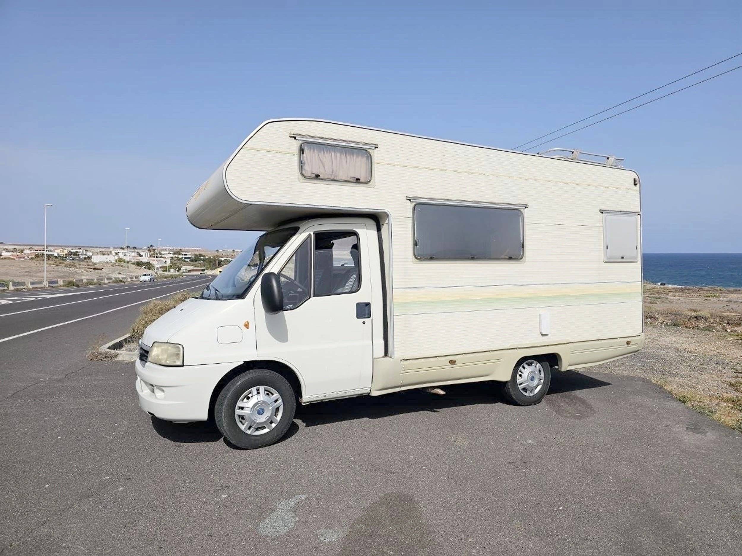 Adria Adria coral   sp660