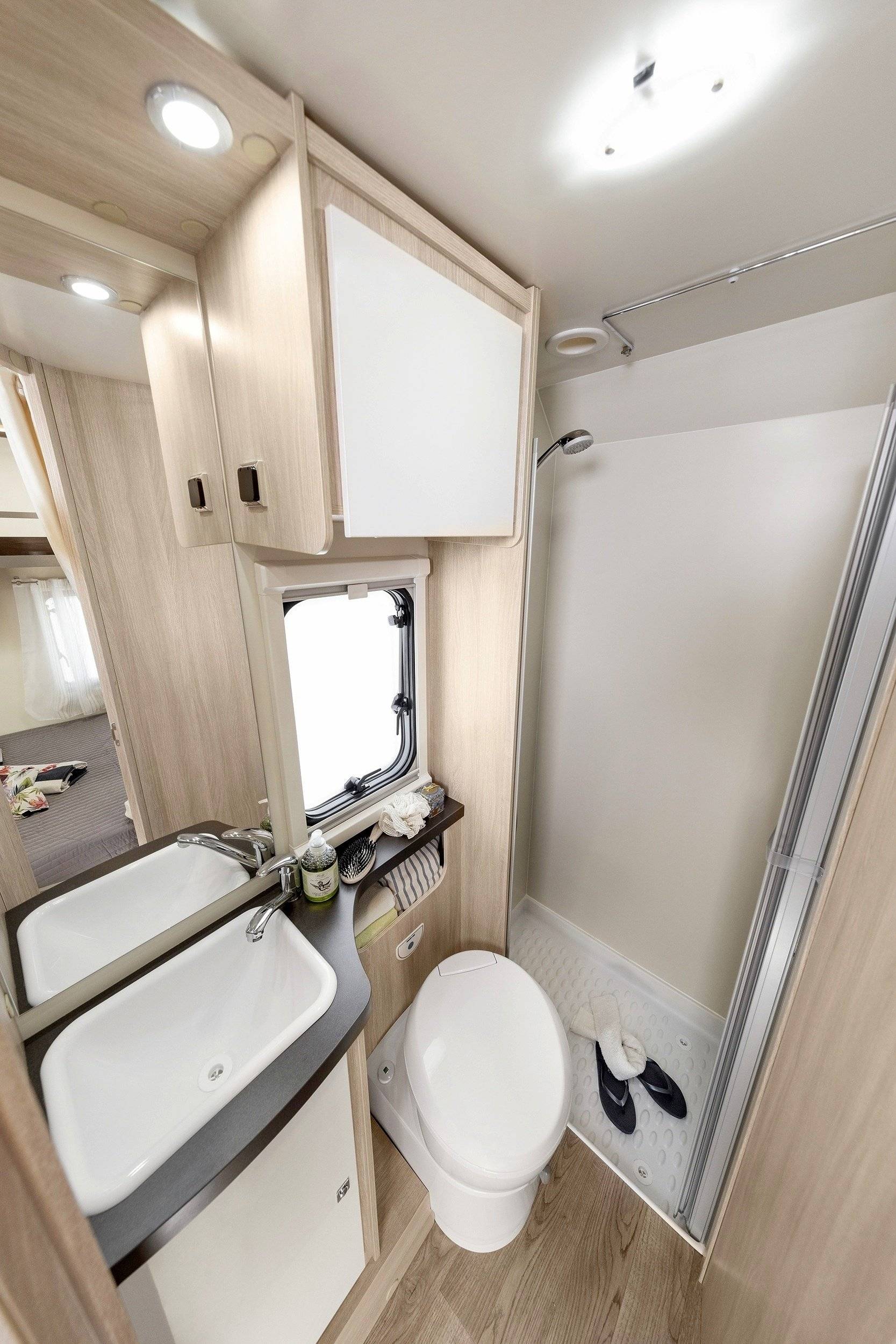 Giottiline Siena 330