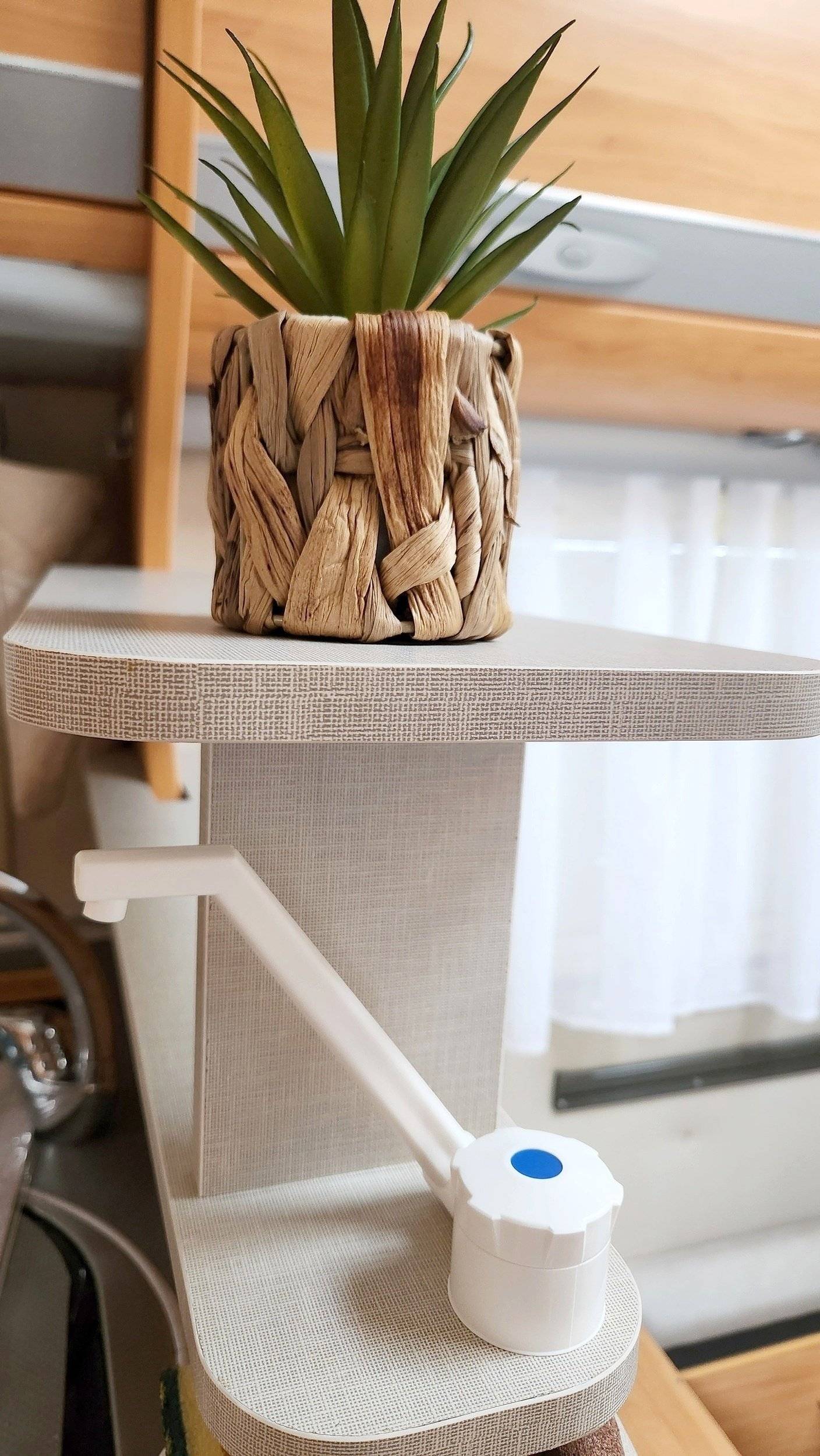 Adria Adria coral   sp660