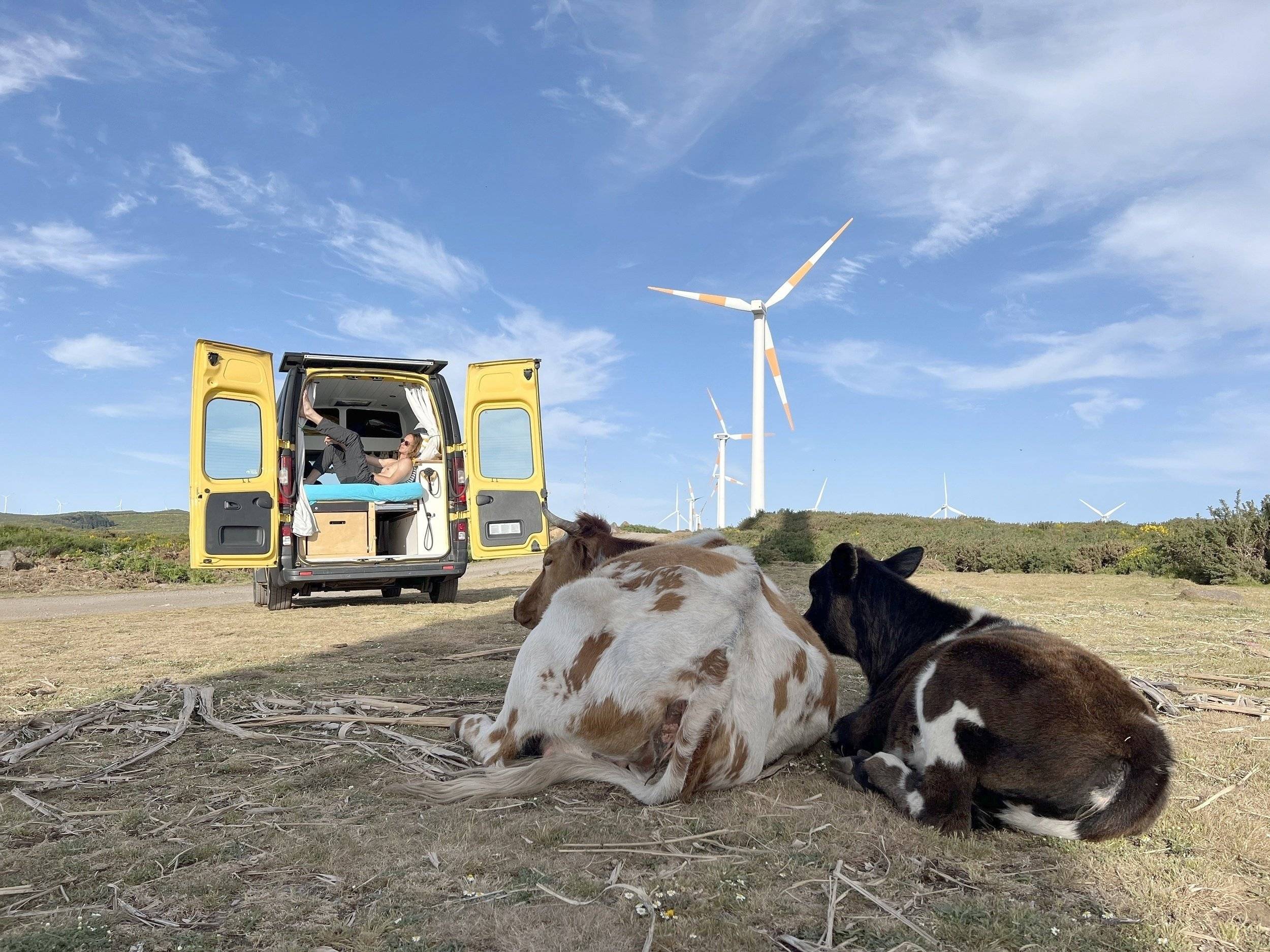 Renault Renault trafic