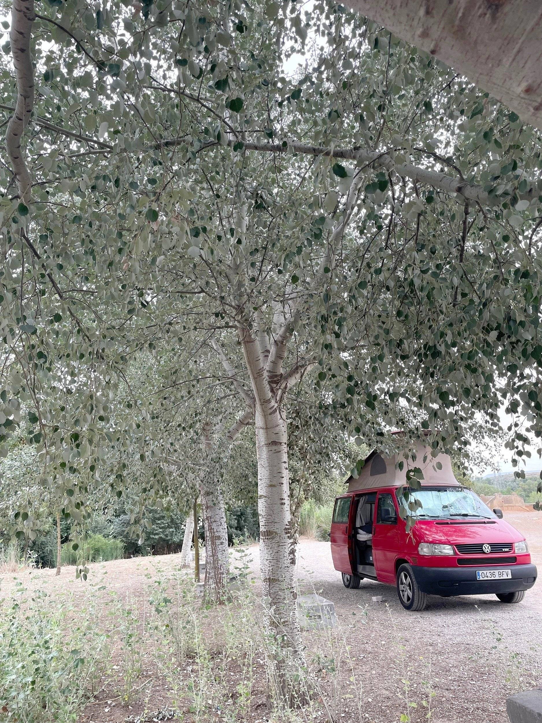 Volkswagen Volkswagen california