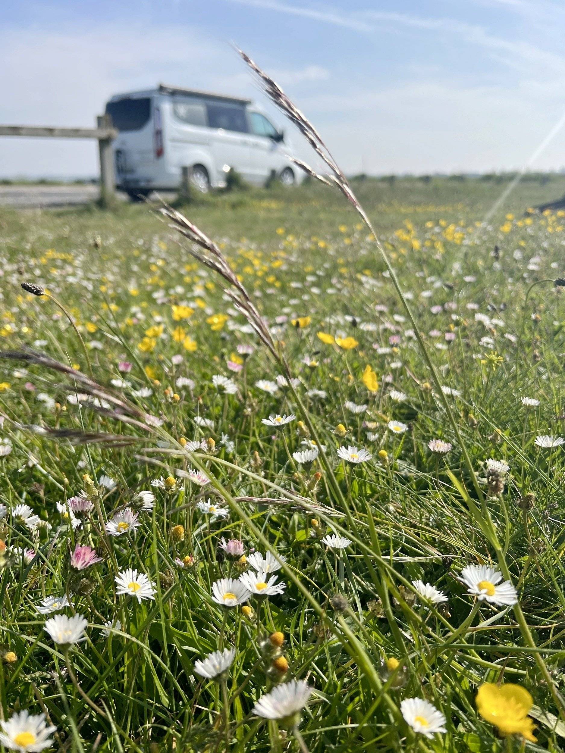 Karmann Mobil Ford Transit Custom