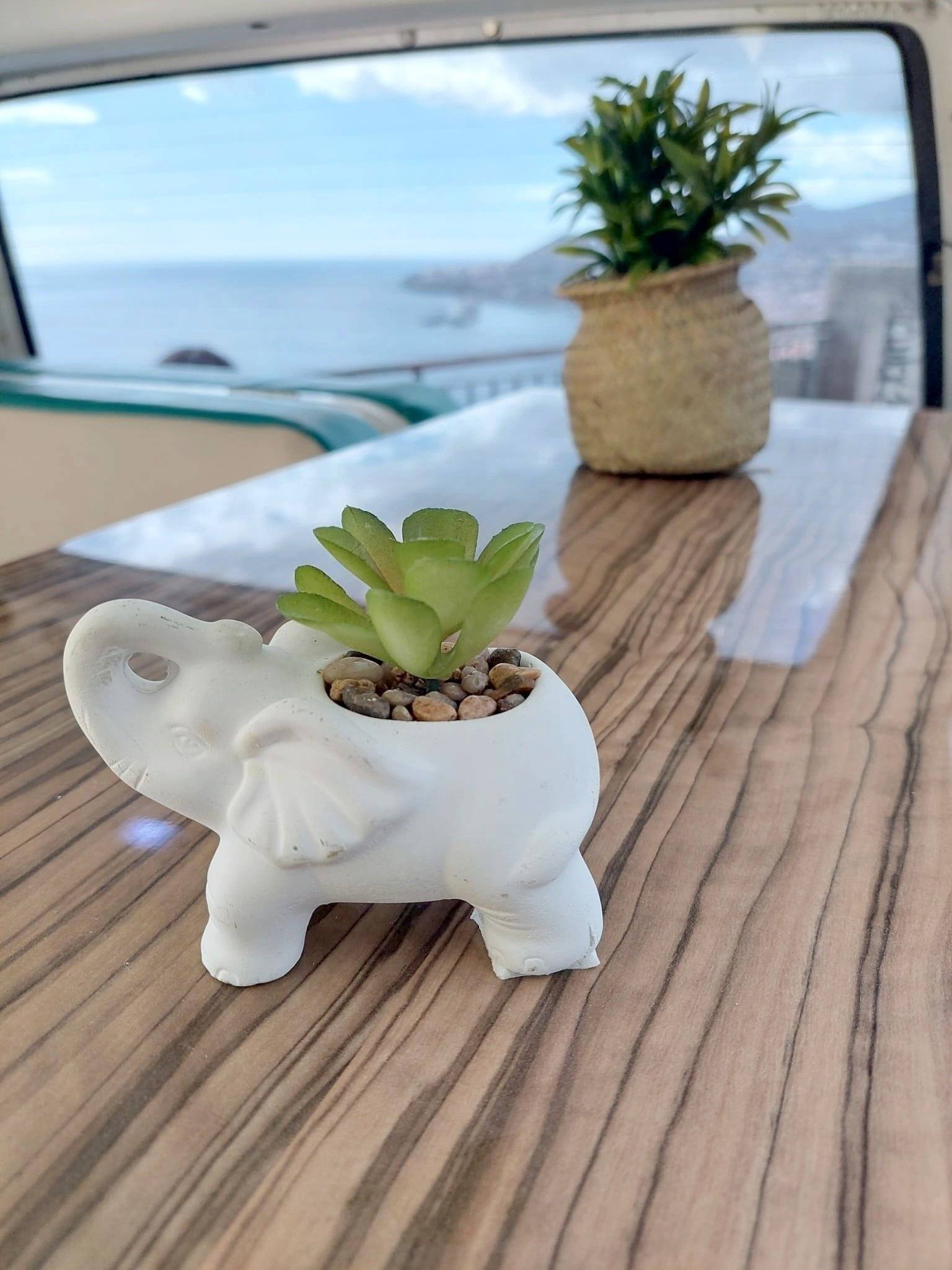 Volkswagen Volkswagen transporte