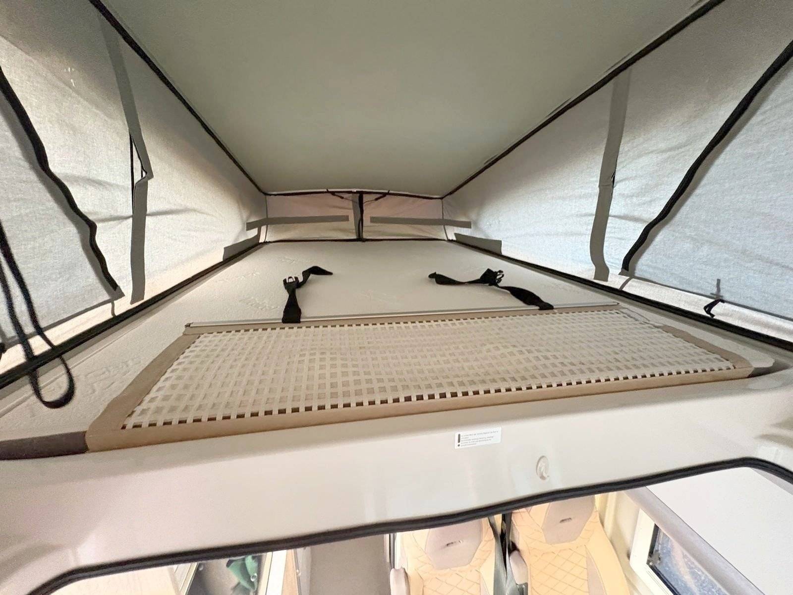 Clever Clever Celebration 600