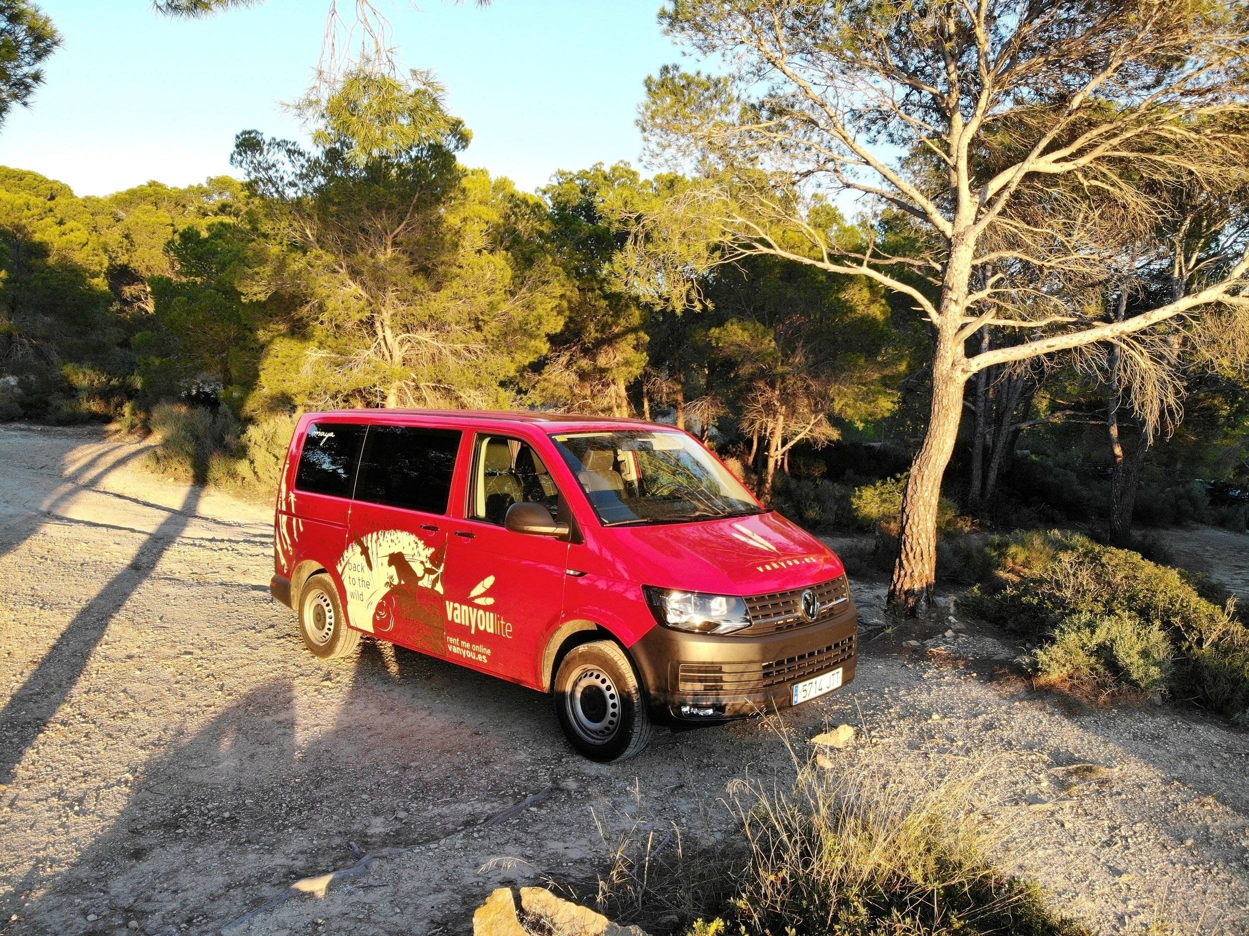 Volkswagen Transporter T6 - Maya