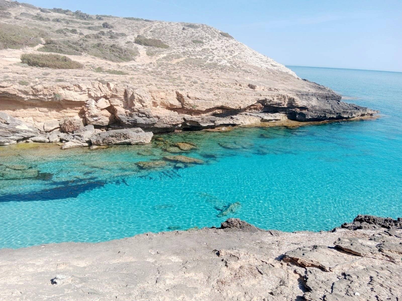 'CALITA' Furgo Camper