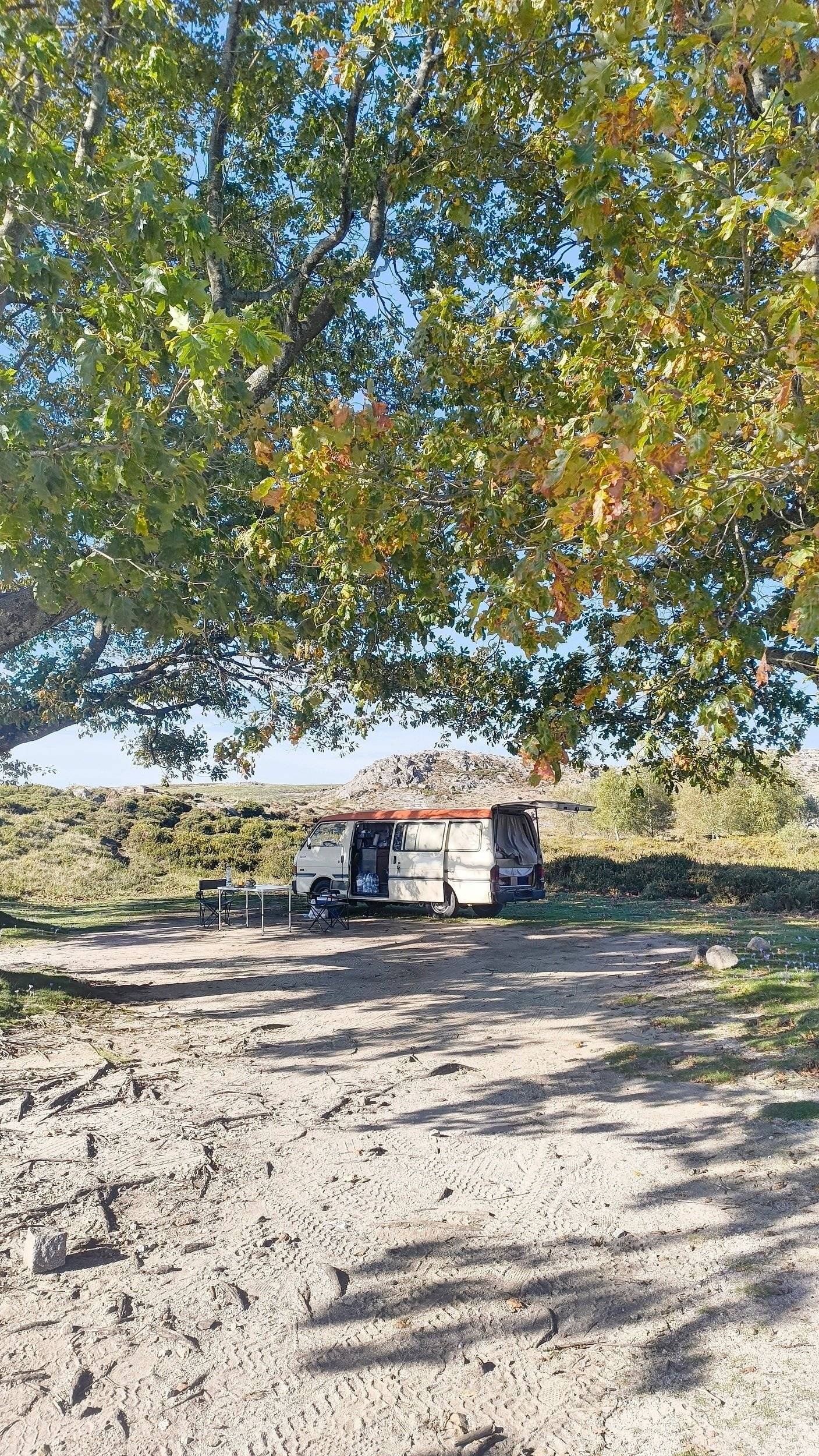 Make My Van Mazda bongo