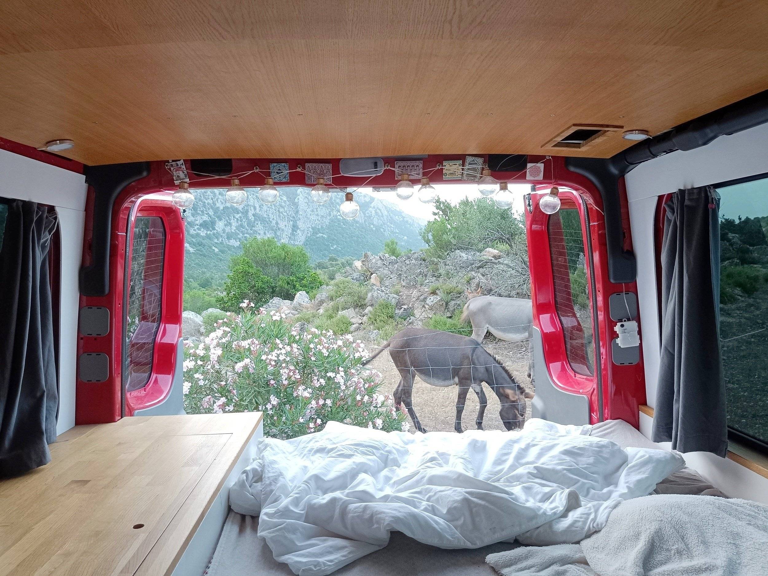 Mercedes Mercedes Sprinter 313 cdi