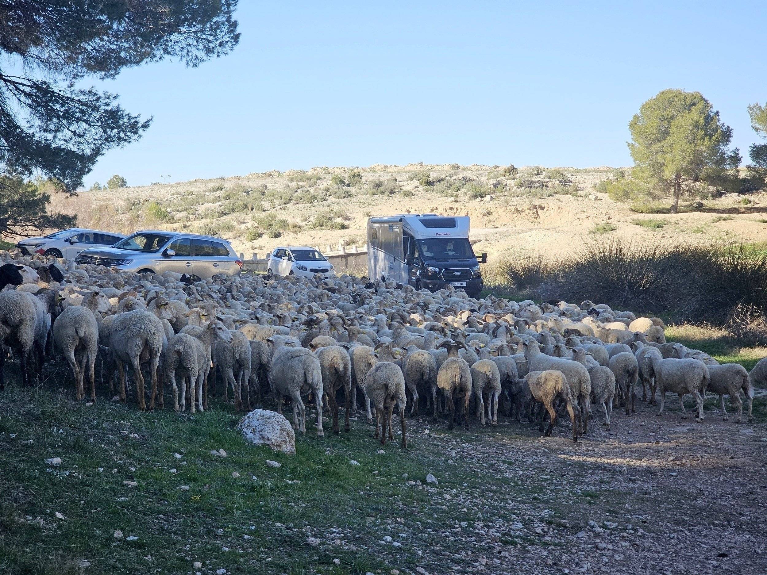 Dethleffs Dethleffs Just Go T7055 EB