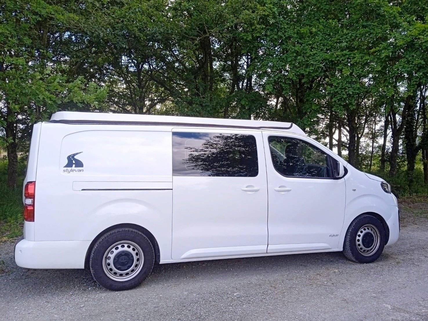 Stylevan austral
