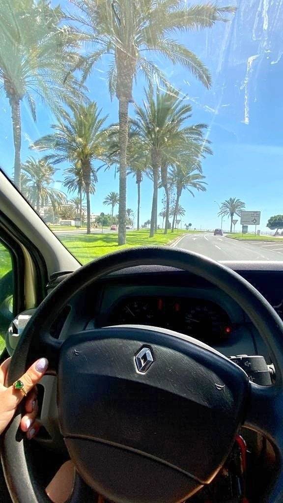 Renault Renault trafic passenger