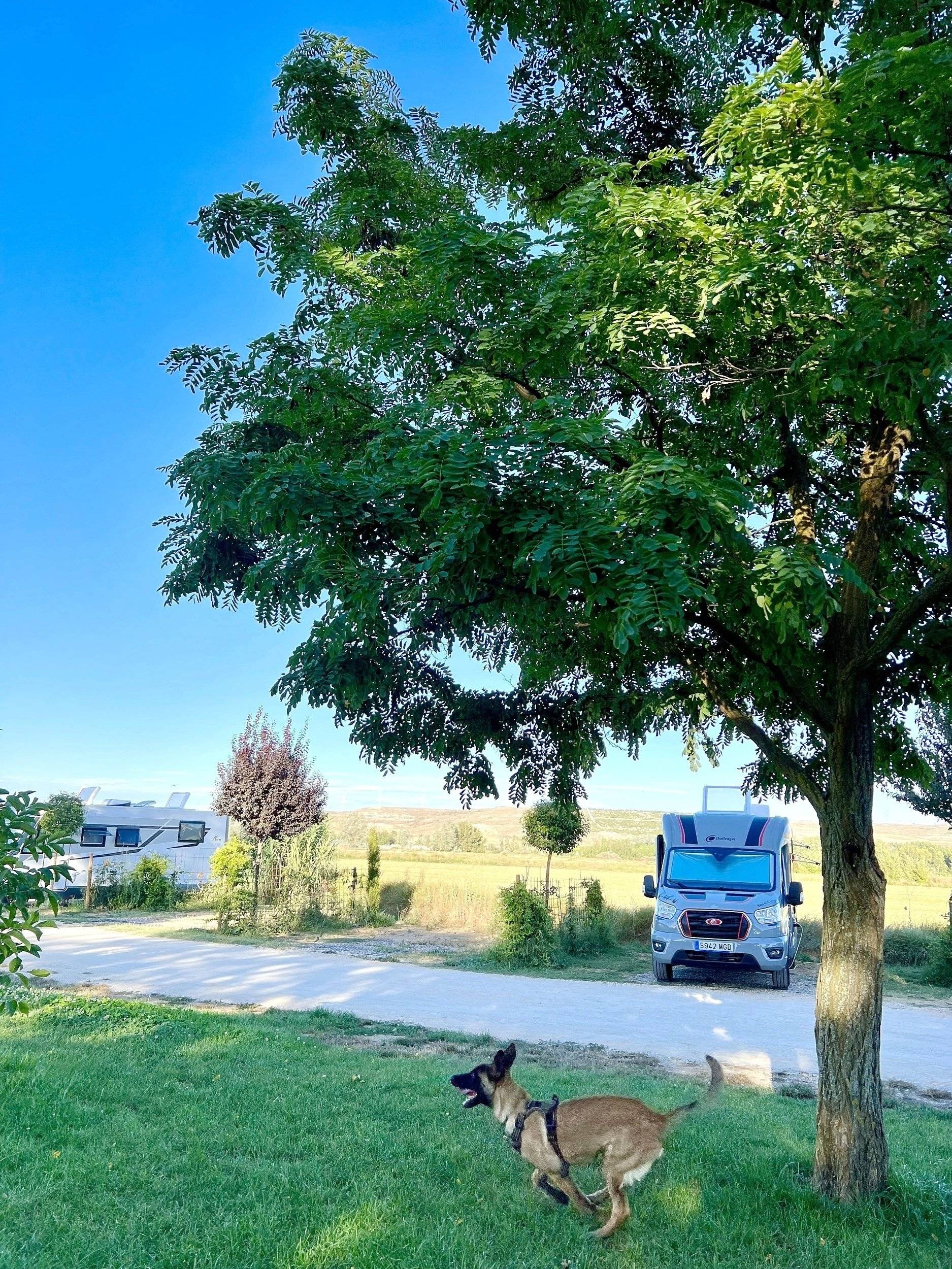 Challenger S217 Sport Edition