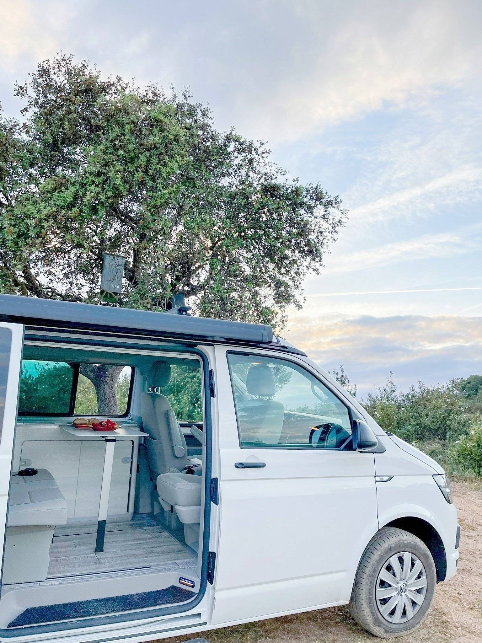 Volkswagen Volkswagen california coast