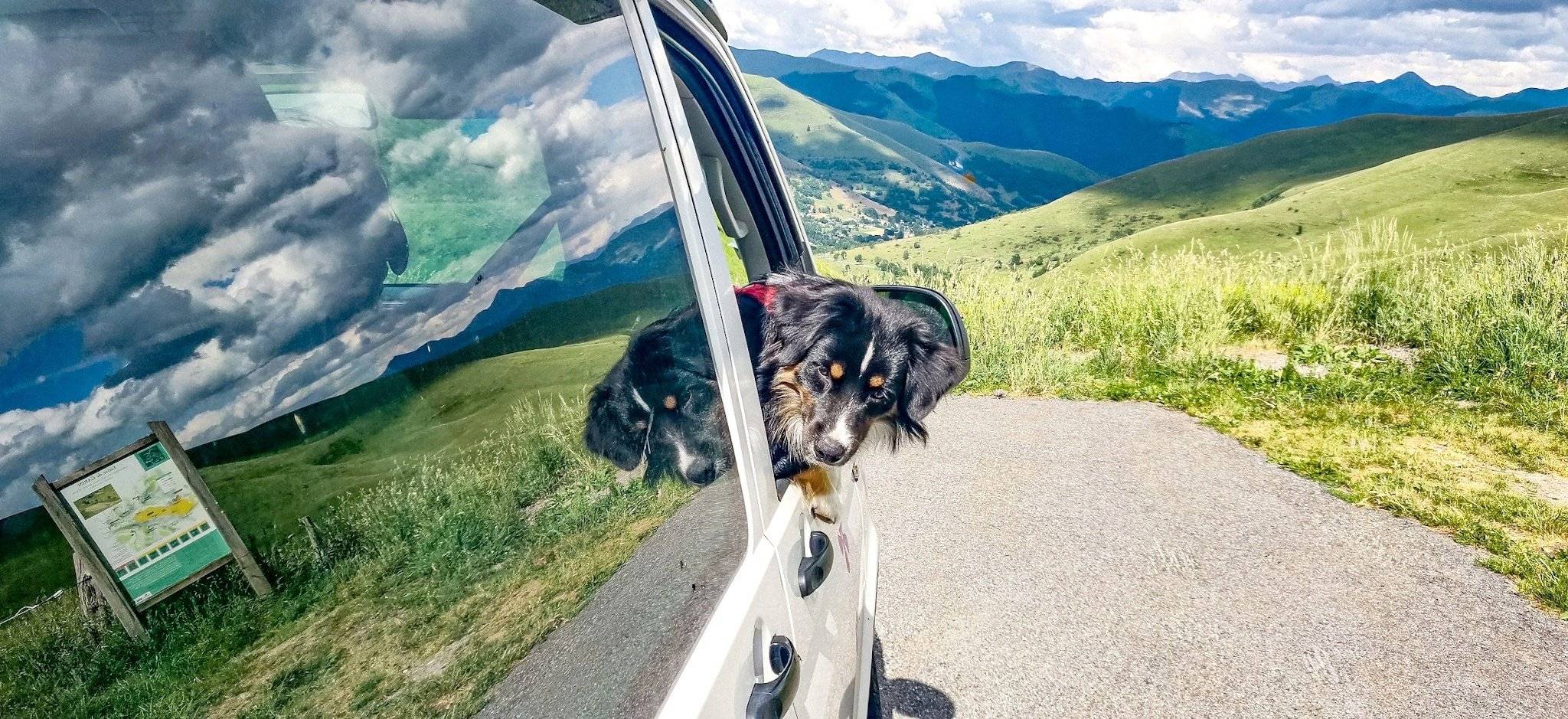 Volkswagen CALIFORNIA T6 2 l TDI 150 ch